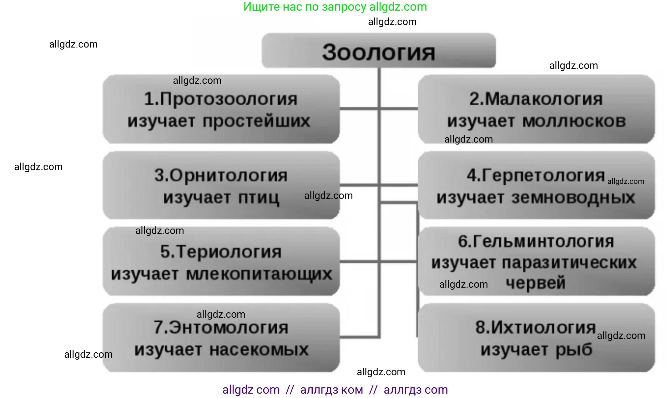 Биология, 8 класс Учебник, авторы: Пасечник Владимир Васильевич, Суматохин Сергей Витальевич, Гапонюк Зоя Георгиевна, издательство Просвещение, Москва, 2023, белого цвета, страница 9, номер 6, Решение (продолжение 2)