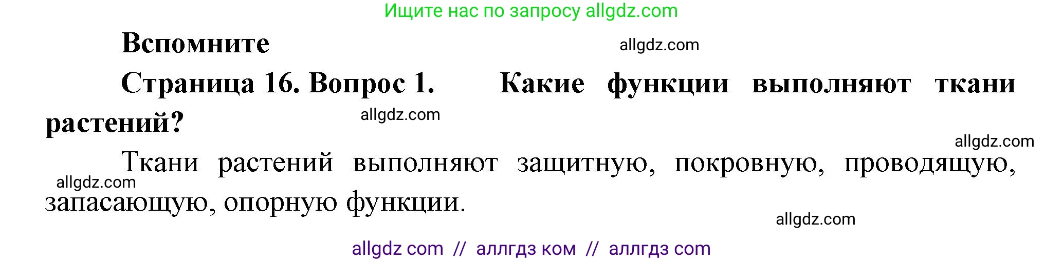 Биология, 8 класс Учебник, авторы: Пасечник Владимир Васильевич, Суматохин Сергей Витальевич, Гапонюк Зоя Георгиевна, издательство Просвещение, Москва, 2023, белого цвета, страница 16, номер 1, Решение