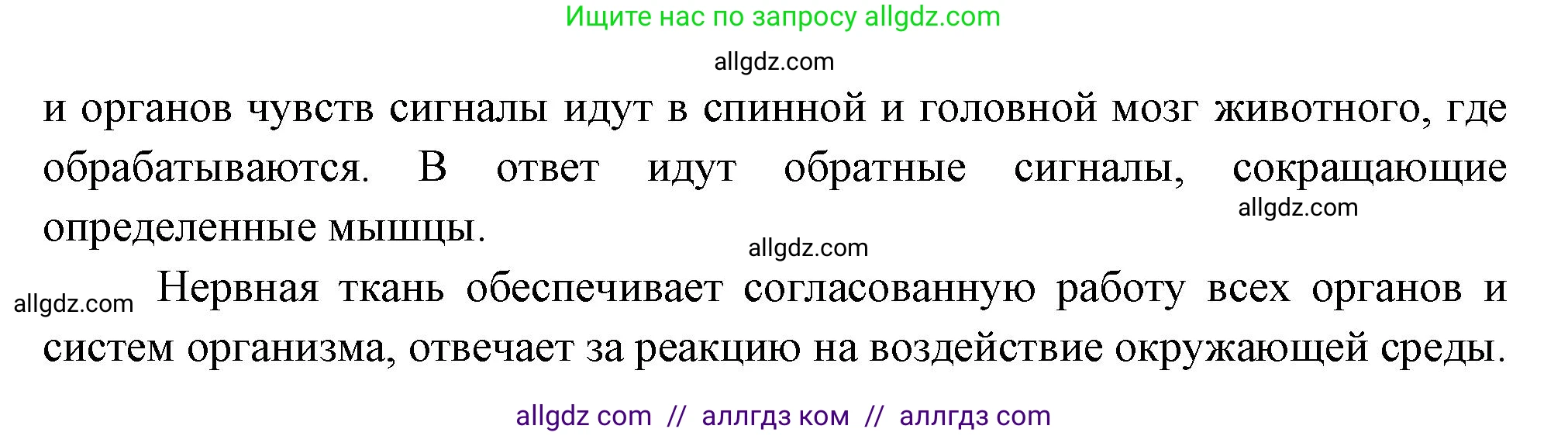 Биология, 8 класс Учебник, авторы: Пасечник Владимир Васильевич, Суматохин Сергей Витальевич, Гапонюк Зоя Георгиевна, издательство Просвещение, Москва, 2023, белого цвета, страница 20, номер 3, Решение (продолжение 2)