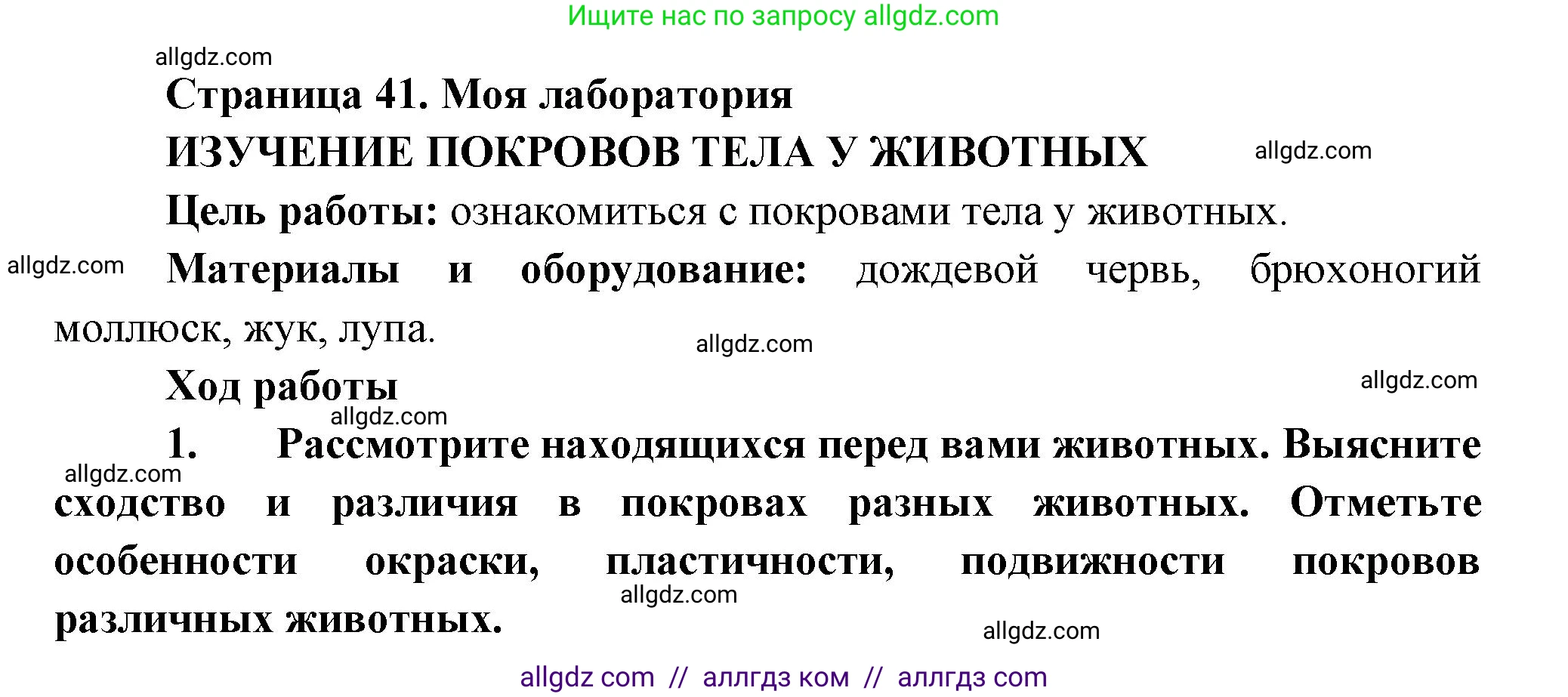 Биология, 8 класс Учебник, авторы: Пасечник Владимир Васильевич, Суматохин Сергей Витальевич, Гапонюк Зоя Георгиевна, издательство Просвещение, Москва, 2023, белого цвета, страница 41, Решение