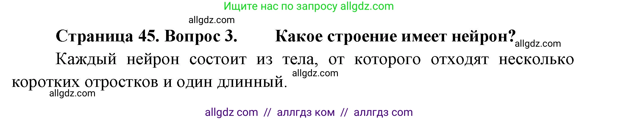 Биология, 8 класс Учебник, авторы: Пасечник Владимир Васильевич, Суматохин Сергей Витальевич, Гапонюк Зоя Георгиевна, издательство Просвещение, Москва, 2023, белого цвета, страница 45, номер 3, Решение