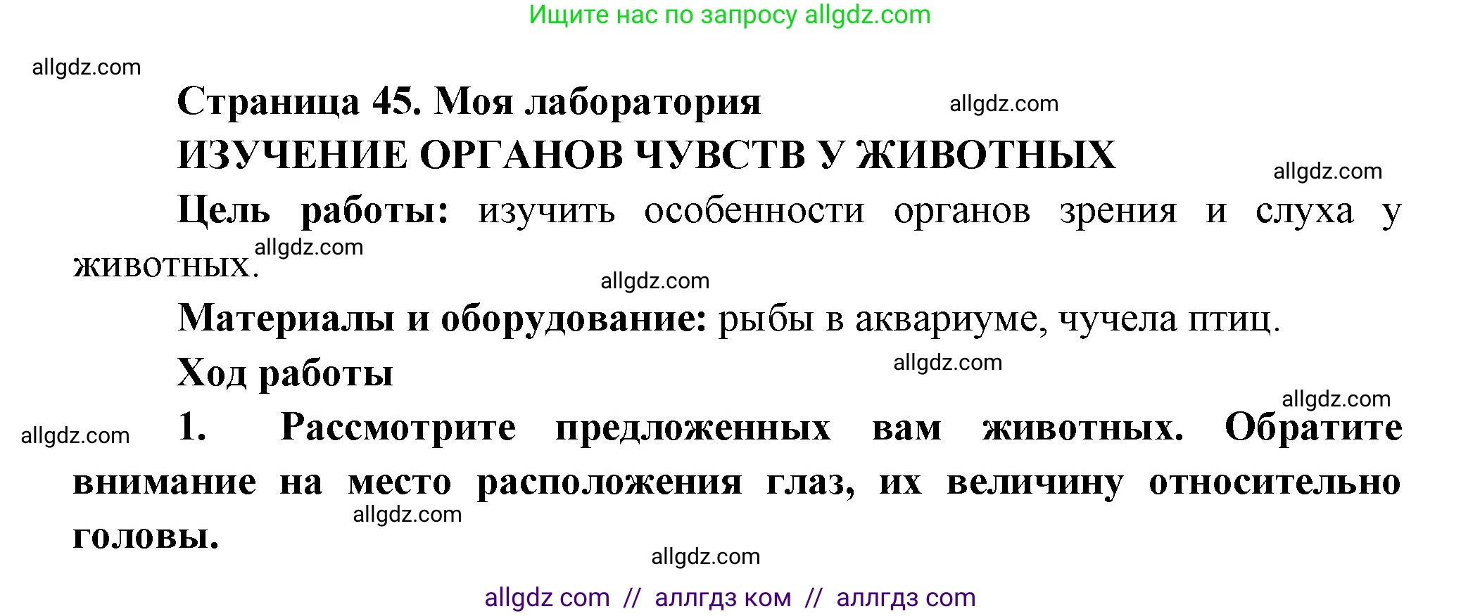 Биология, 8 класс Учебник, авторы: Пасечник Владимир Васильевич, Суматохин Сергей Витальевич, Гапонюк Зоя Георгиевна, издательство Просвещение, Москва, 2023, белого цвета, страница 45, Решение