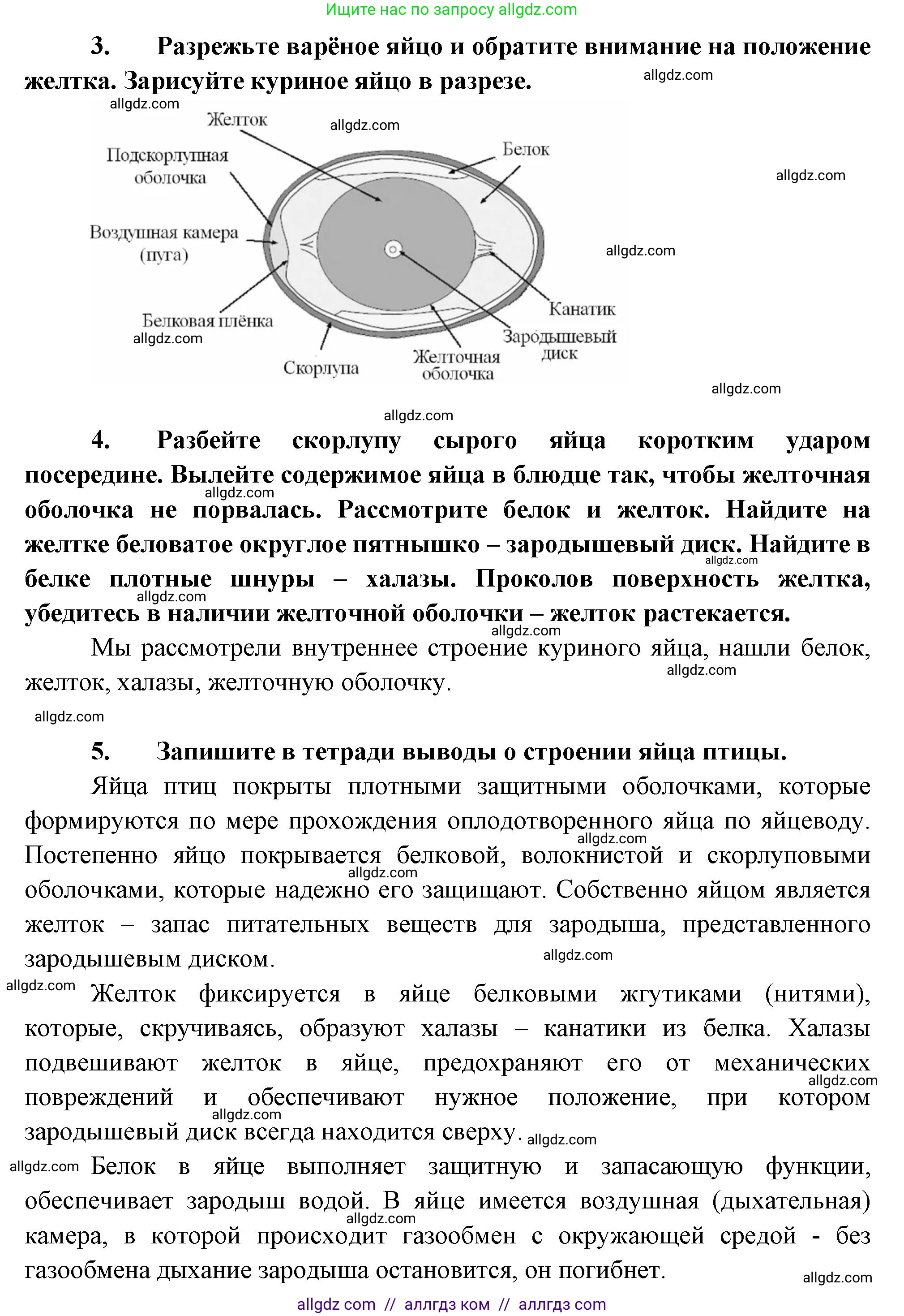 Биология, 8 класс Учебник, авторы: Пасечник Владимир Васильевич, Суматохин Сергей Витальевич, Гапонюк Зоя Георгиевна, издательство Просвещение, Москва, 2023, белого цвета, страница 54, Решение (продолжение 2)