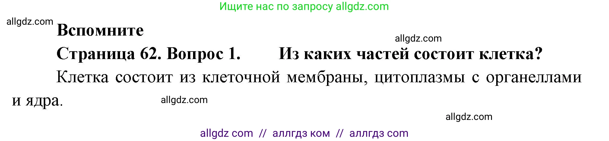 Биология, 8 класс Учебник, авторы: Пасечник Владимир Васильевич, Суматохин Сергей Витальевич, Гапонюк Зоя Георгиевна, издательство Просвещение, Москва, 2023, белого цвета, страница 62, номер 1, Решение