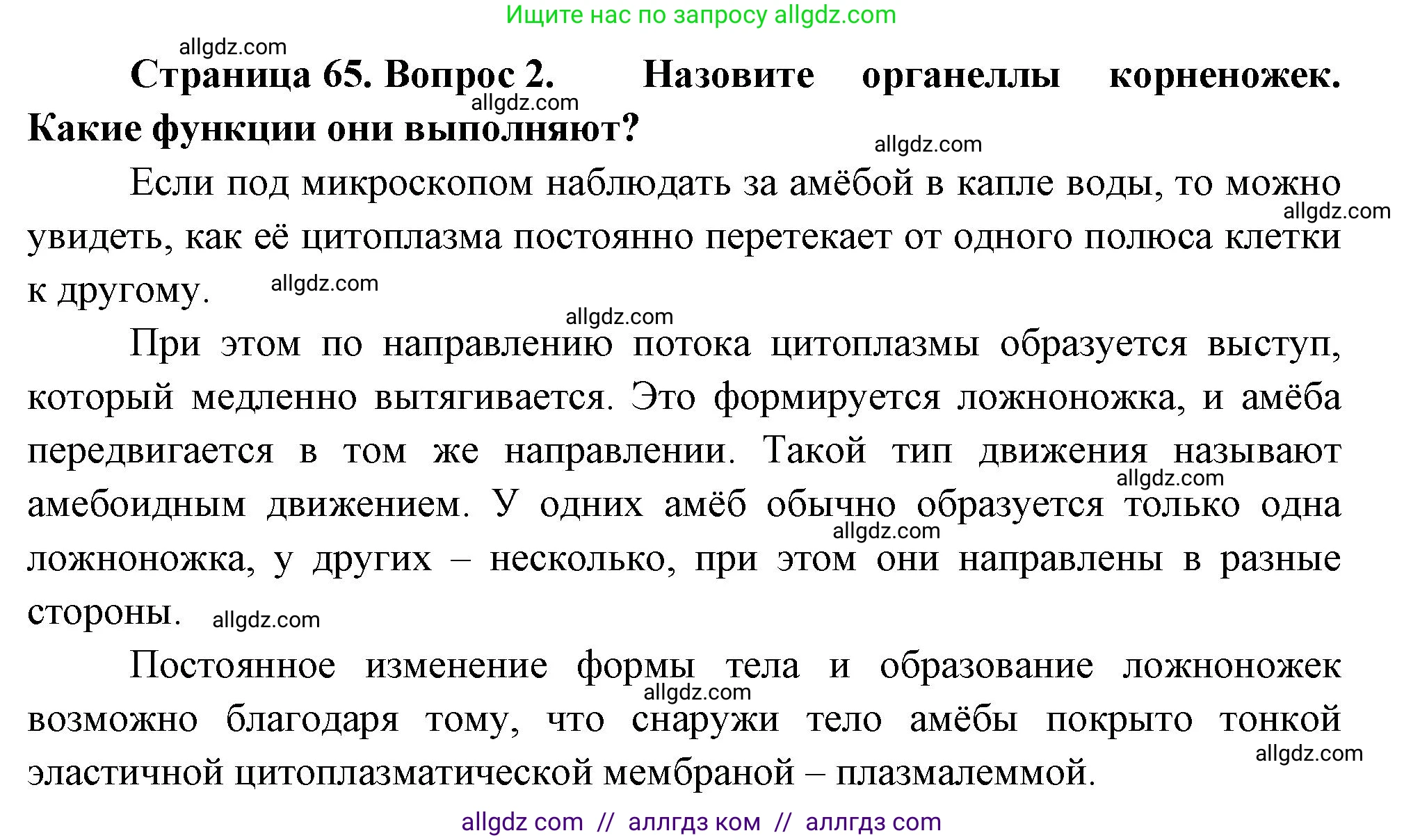 Биология, 8 класс Учебник, авторы: Пасечник Владимир Васильевич, Суматохин Сергей Витальевич, Гапонюк Зоя Георгиевна, издательство Просвещение, Москва, 2023, белого цвета, страница 65, номер 2, Решение