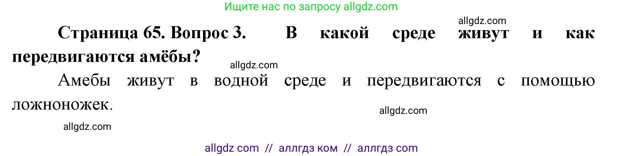 Биология, 8 класс Учебник, авторы: Пасечник Владимир Васильевич, Суматохин Сергей Витальевич, Гапонюк Зоя Георгиевна, издательство Просвещение, Москва, 2023, белого цвета, страница 65, номер 3, Решение