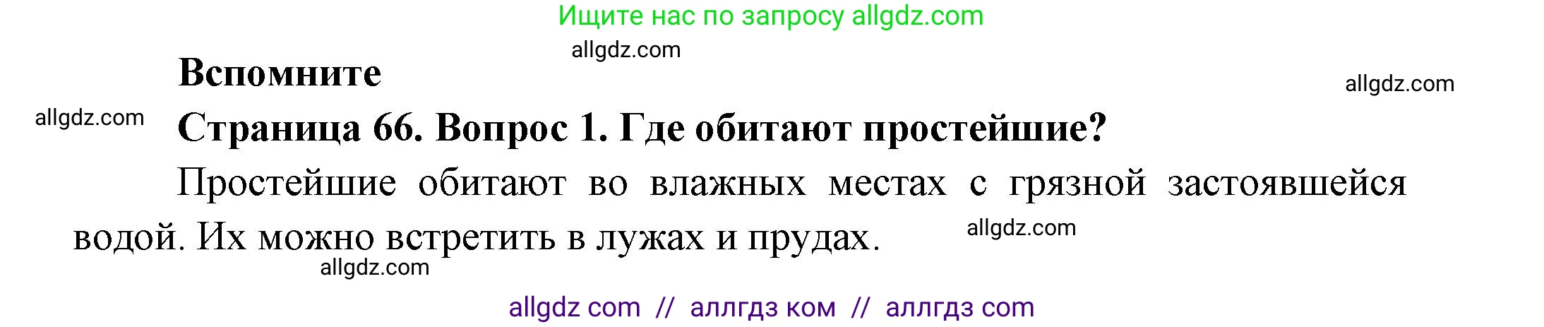 Биология, 8 класс Учебник, авторы: Пасечник Владимир Васильевич, Суматохин Сергей Витальевич, Гапонюк Зоя Георгиевна, издательство Просвещение, Москва, 2023, белого цвета, страница 66, номер 1, Решение