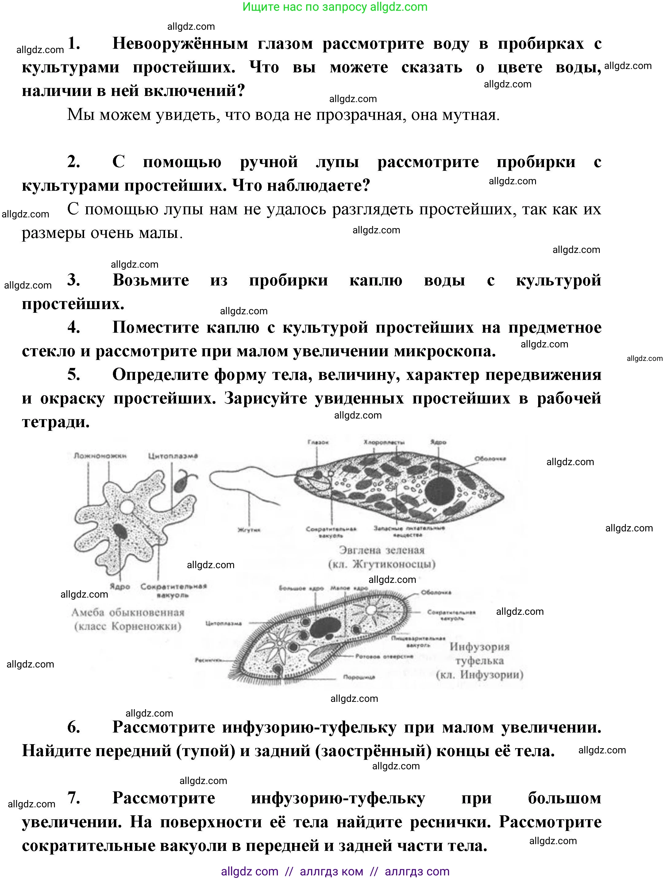 Биология, 8 класс Учебник, авторы: Пасечник Владимир Васильевич, Суматохин Сергей Витальевич, Гапонюк Зоя Георгиевна, издательство Просвещение, Москва, 2023, белого цвета, страница 69, Решение (продолжение 2)