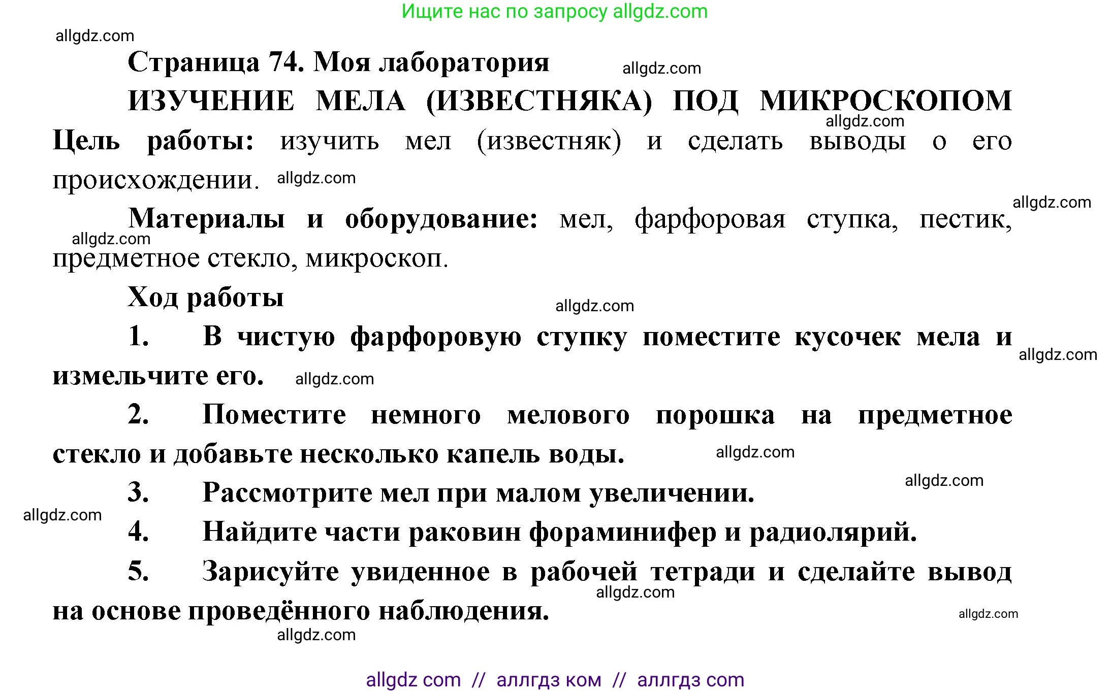 Биология, 8 класс Учебник, авторы: Пасечник Владимир Васильевич, Суматохин Сергей Витальевич, Гапонюк Зоя Георгиевна, издательство Просвещение, Москва, 2023, белого цвета, страница 74, Решение