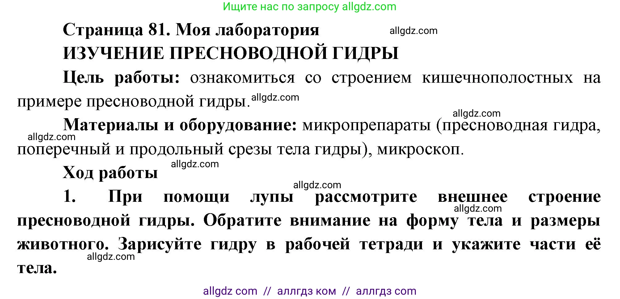 Биология, 8 класс Учебник, авторы: Пасечник Владимир Васильевич, Суматохин Сергей Витальевич, Гапонюк Зоя Георгиевна, издательство Просвещение, Москва, 2023, белого цвета, страница 81, Решение