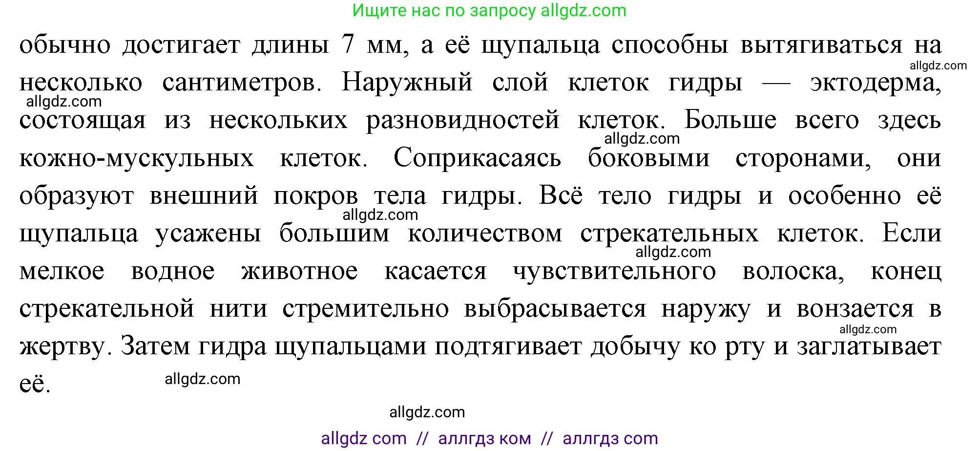 Биология, 8 класс Учебник, авторы: Пасечник Владимир Васильевич, Суматохин Сергей Витальевич, Гапонюк Зоя Георгиевна, издательство Просвещение, Москва, 2023, белого цвета, страница 81, Решение (продолжение 3)