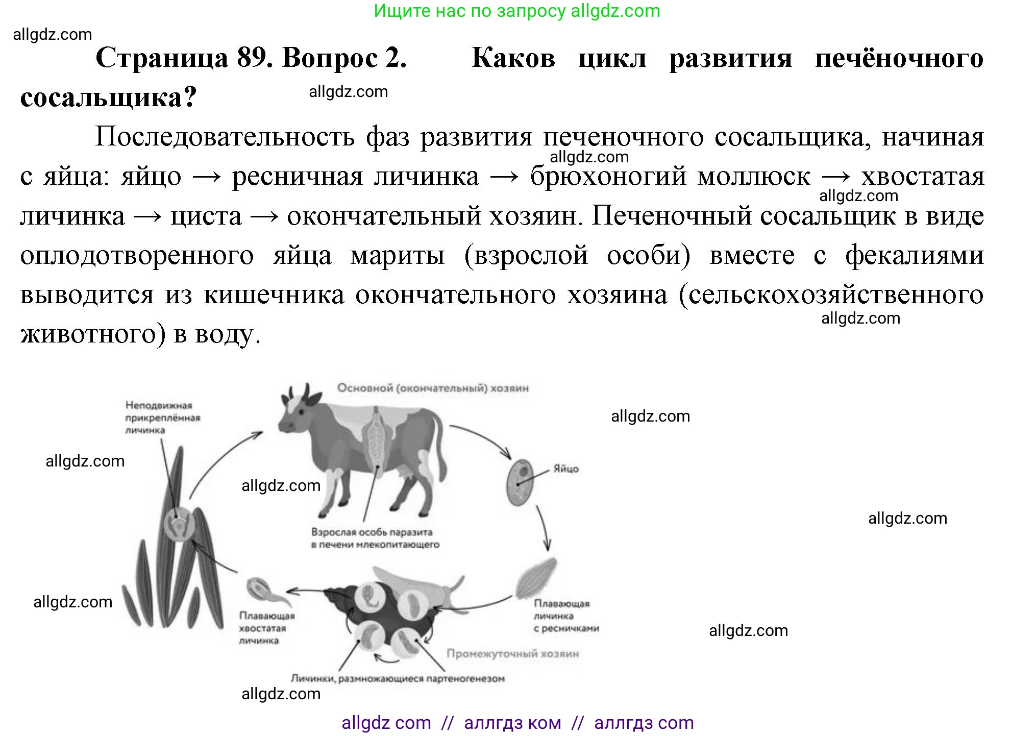 Биология, 8 класс Учебник, авторы: Пасечник Владимир Васильевич, Суматохин Сергей Витальевич, Гапонюк Зоя Георгиевна, издательство Просвещение, Москва, 2023, белого цвета, страница 89, номер 2, Решение