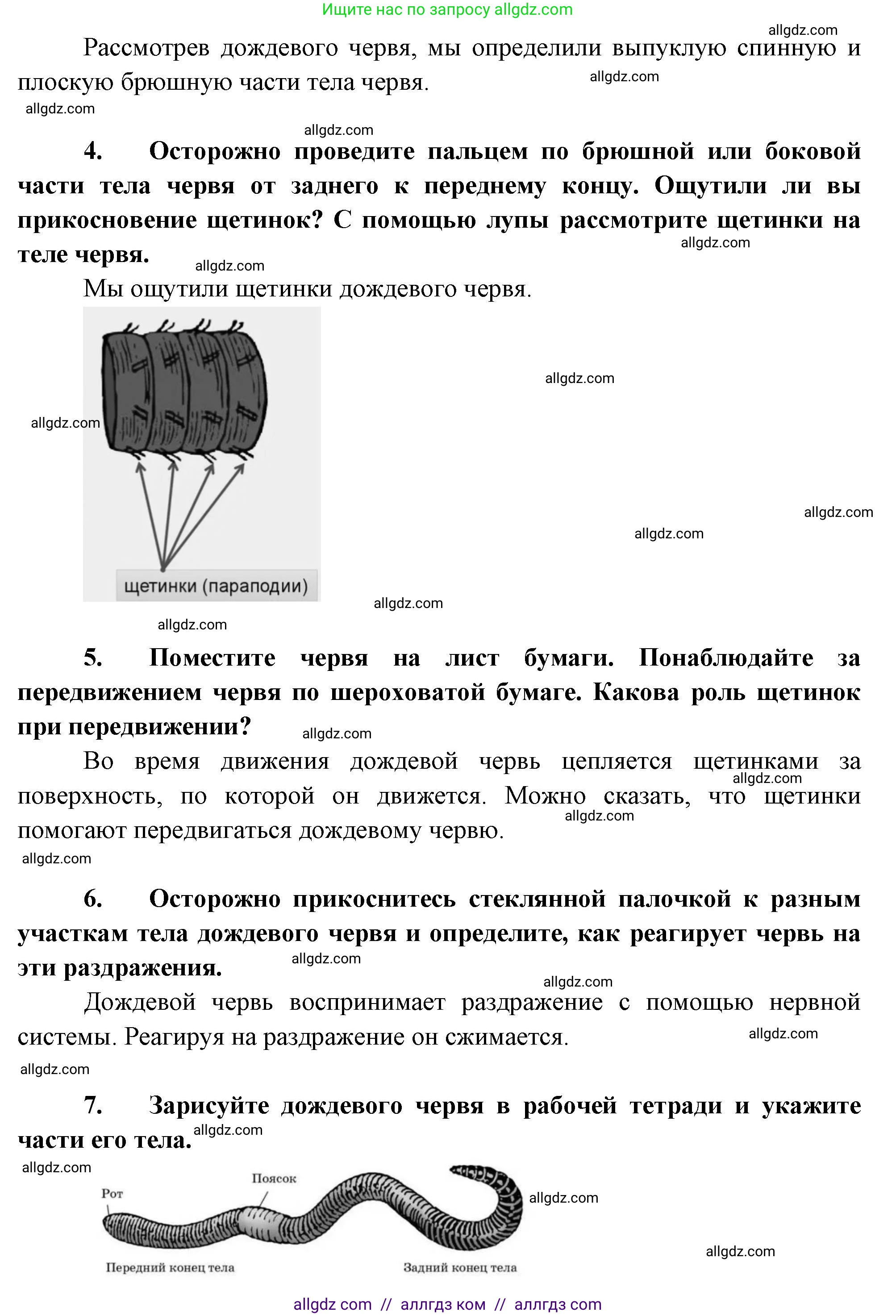 Биология, 8 класс Учебник, авторы: Пасечник Владимир Васильевич, Суматохин Сергей Витальевич, Гапонюк Зоя Георгиевна, издательство Просвещение, Москва, 2023, белого цвета, страница 98, Решение (продолжение 2)