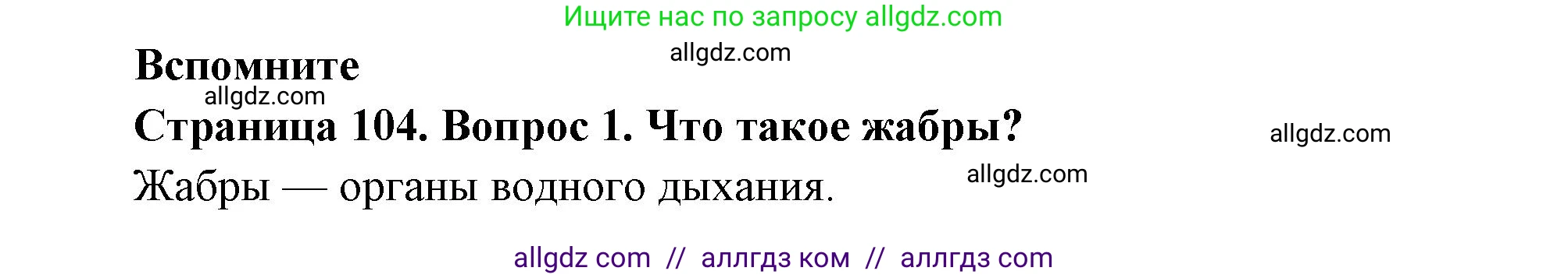 Биология, 8 класс Учебник, авторы: Пасечник Владимир Васильевич, Суматохин Сергей Витальевич, Гапонюк Зоя Георгиевна, издательство Просвещение, Москва, 2023, белого цвета, страница 104, номер 1, Решение