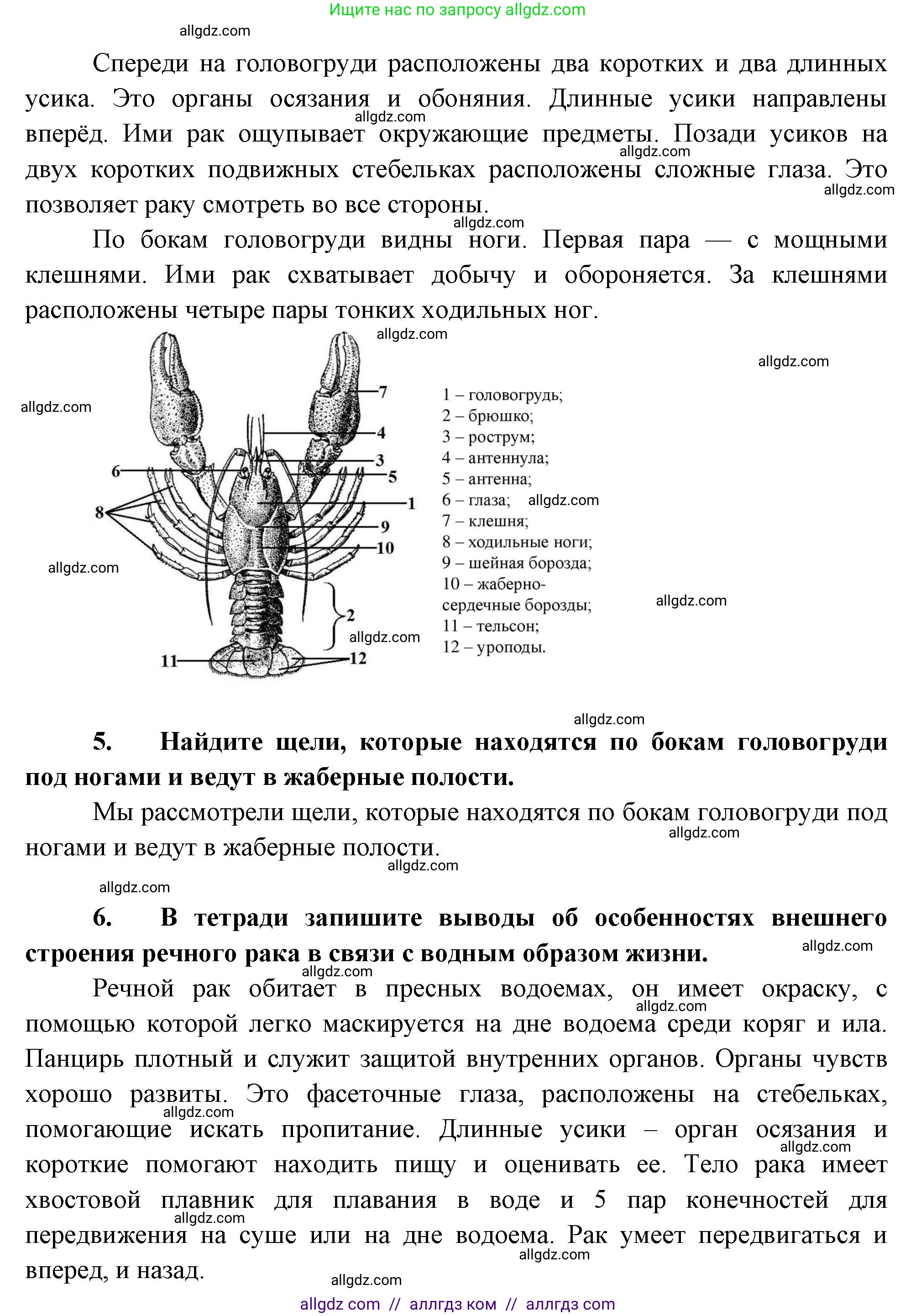 Биология, 8 класс Учебник, авторы: Пасечник Владимир Васильевич, Суматохин Сергей Витальевич, Гапонюк Зоя Георгиевна, издательство Просвещение, Москва, 2023, белого цвета, страница 107, Решение (продолжение 2)
