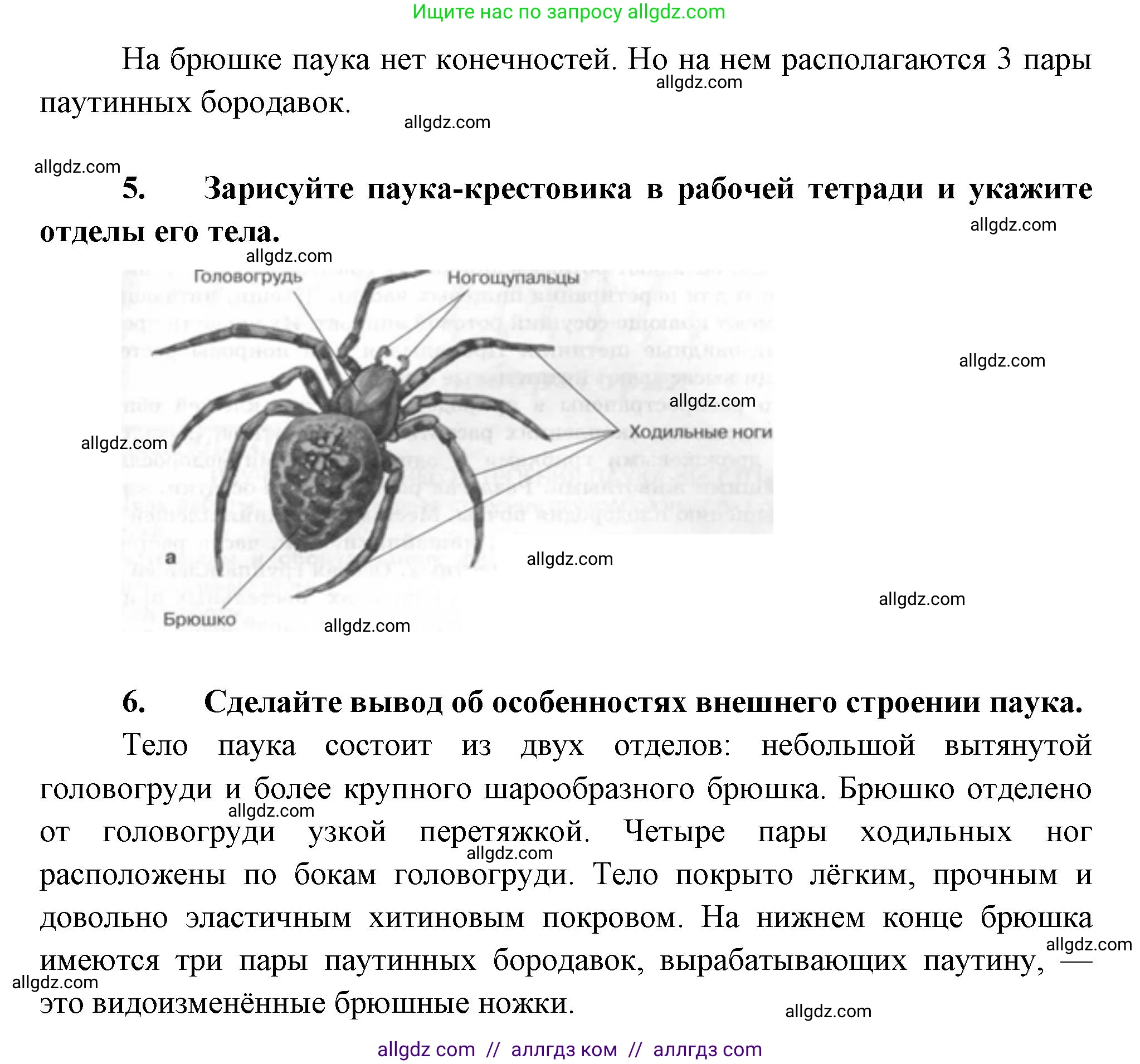 Биология, 8 класс Учебник, авторы: Пасечник Владимир Васильевич, Суматохин Сергей Витальевич, Гапонюк Зоя Георгиевна, издательство Просвещение, Москва, 2023, белого цвета, страница 111, Решение (продолжение 2)