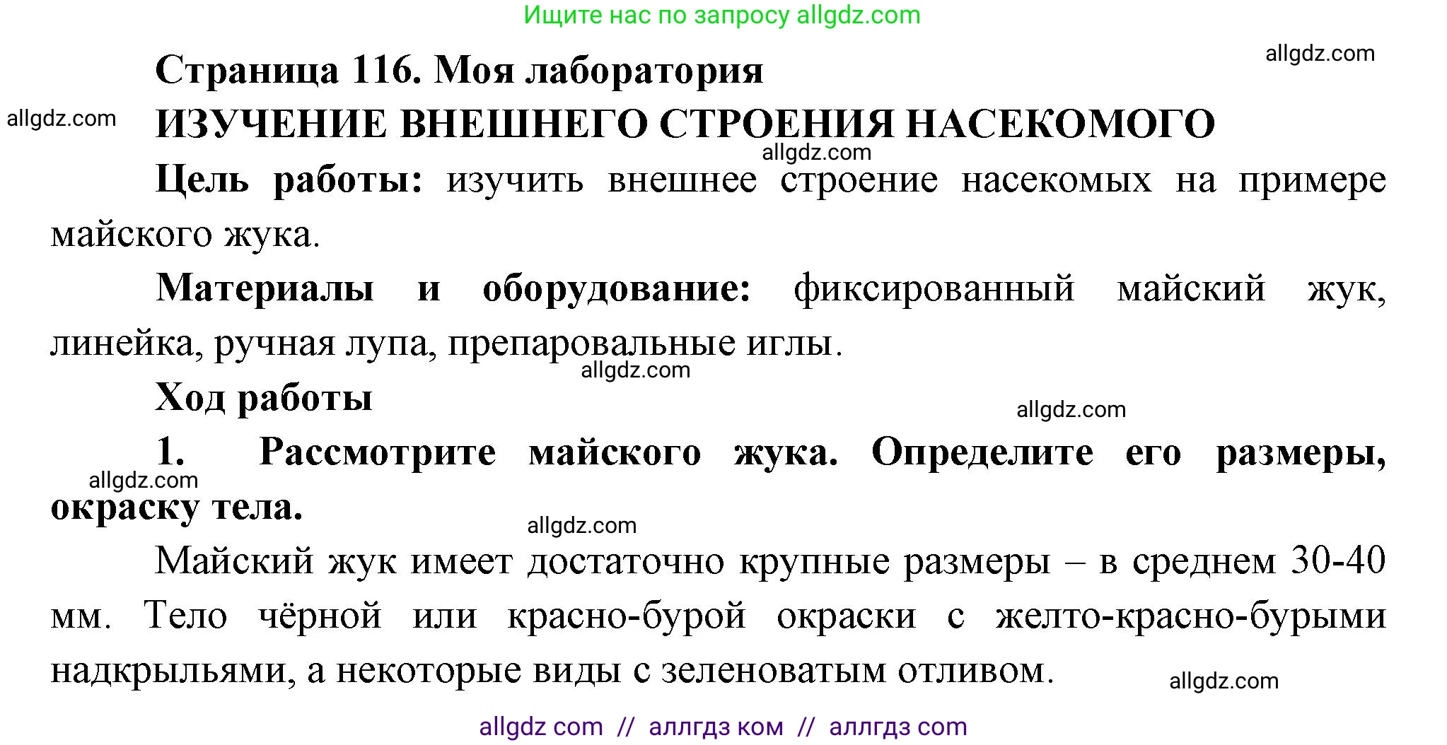 Биология, 8 класс Учебник, авторы: Пасечник Владимир Васильевич, Суматохин Сергей Витальевич, Гапонюк Зоя Георгиевна, издательство Просвещение, Москва, 2023, белого цвета, страница 116, Решение