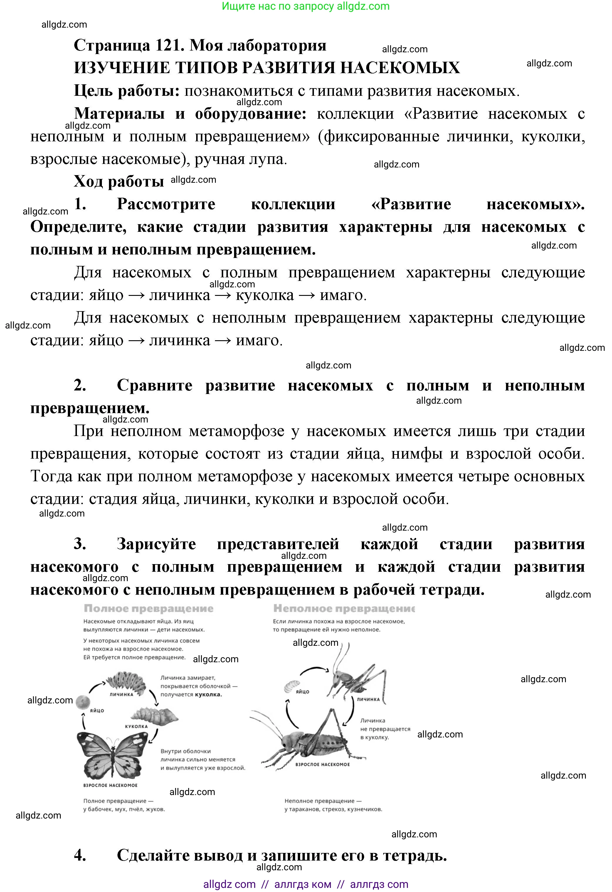 Биология, 8 класс Учебник, авторы: Пасечник Владимир Васильевич, Суматохин Сергей Витальевич, Гапонюк Зоя Георгиевна, издательство Просвещение, Москва, 2023, белого цвета, страница 121, Решение