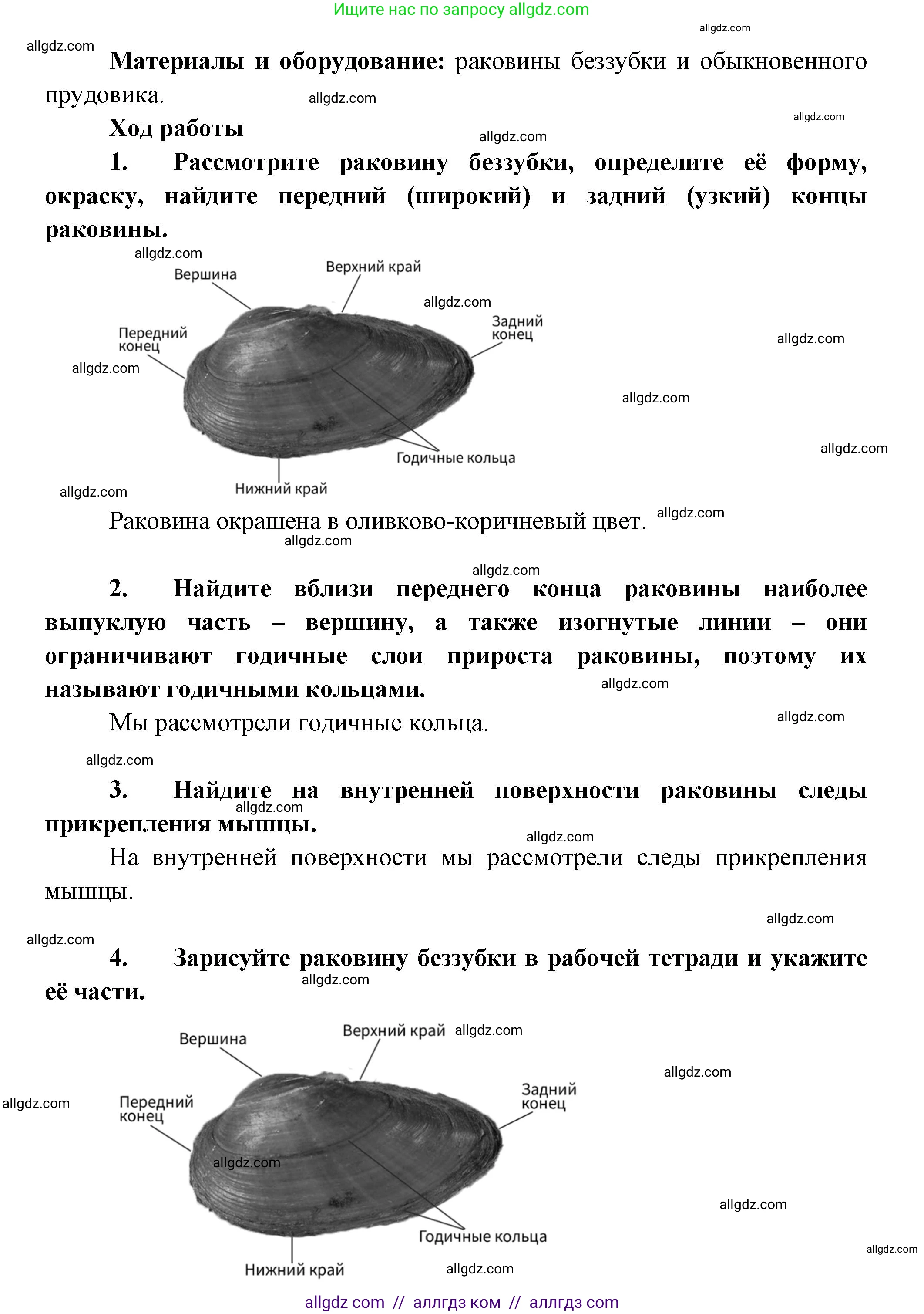 Биология, 8 класс Учебник, авторы: Пасечник Владимир Васильевич, Суматохин Сергей Витальевич, Гапонюк Зоя Георгиевна, издательство Просвещение, Москва, 2023, белого цвета, страница 131, Решение (продолжение 2)