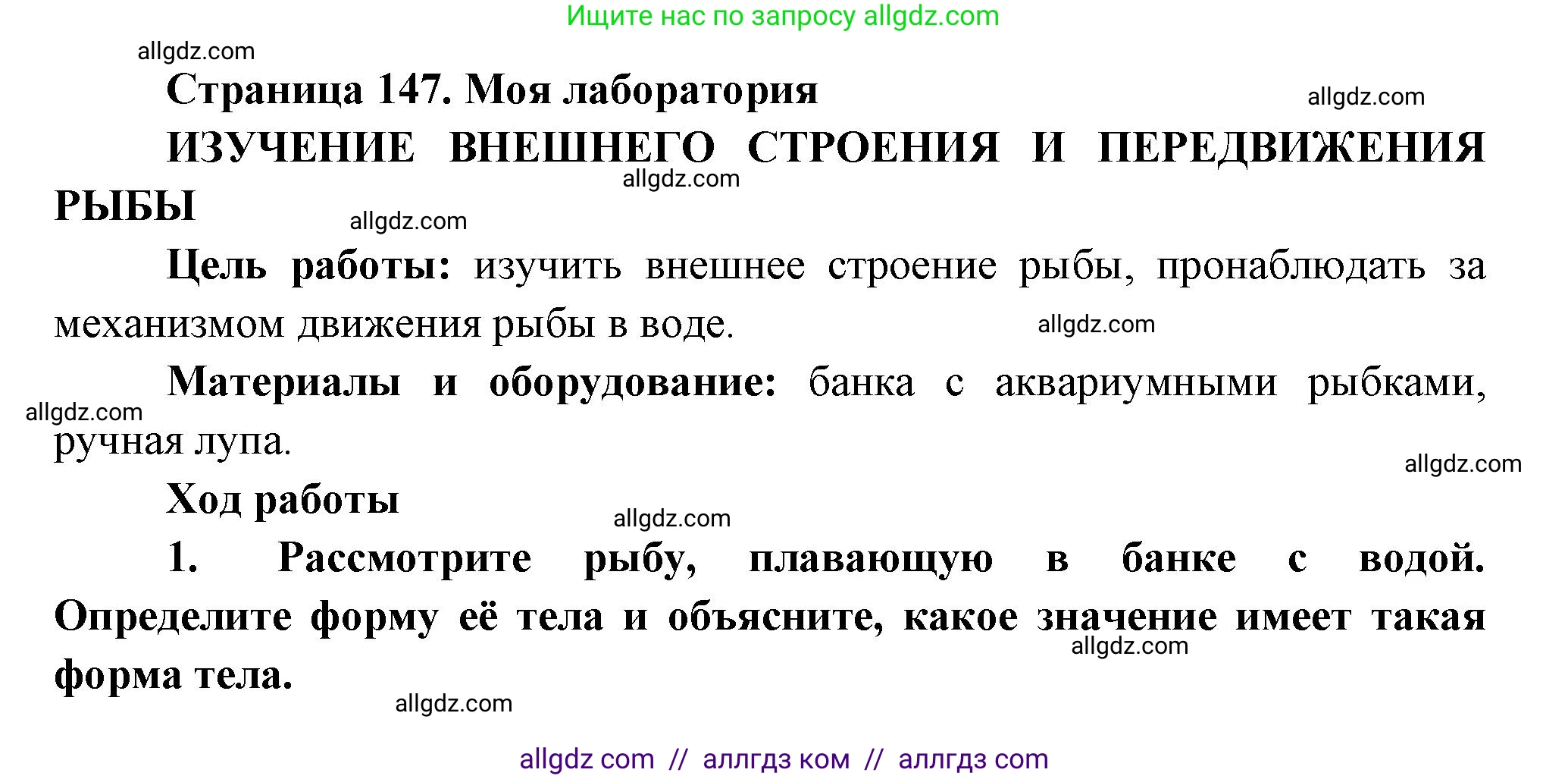 Биология, 8 класс Учебник, авторы: Пасечник Владимир Васильевич, Суматохин Сергей Витальевич, Гапонюк Зоя Георгиевна, издательство Просвещение, Москва, 2023, белого цвета, страница 147, Решение