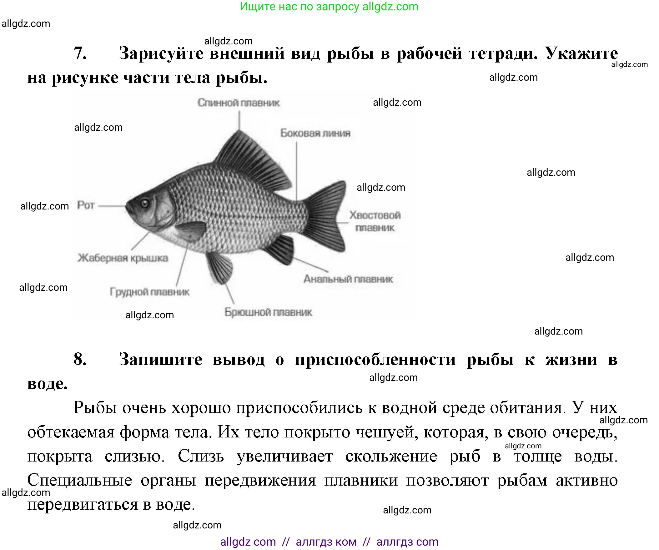 Биология, 8 класс Учебник, авторы: Пасечник Владимир Васильевич, Суматохин Сергей Витальевич, Гапонюк Зоя Георгиевна, издательство Просвещение, Москва, 2023, белого цвета, страница 147, Решение (продолжение 3)