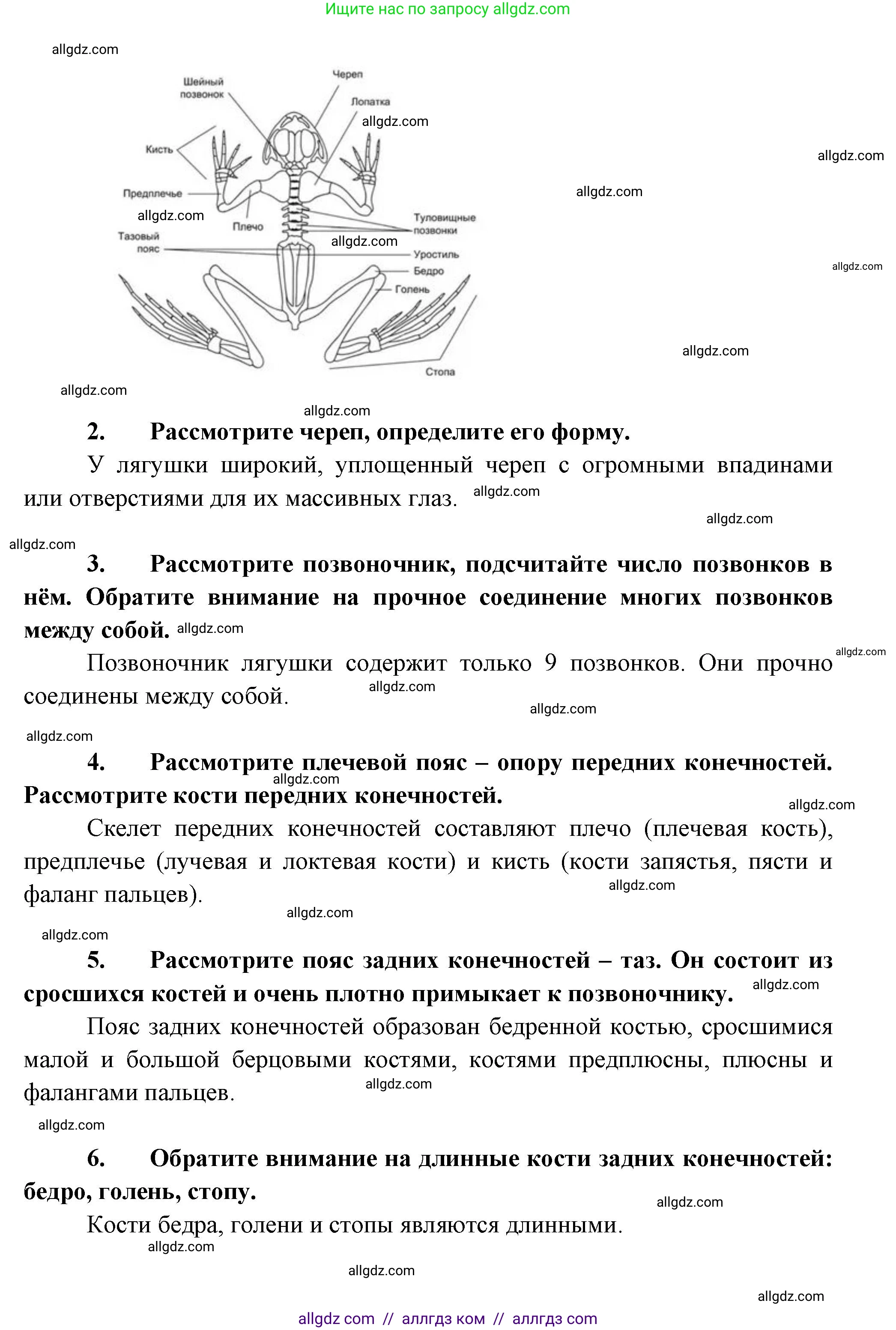 Биология, 8 класс Учебник, авторы: Пасечник Владимир Васильевич, Суматохин Сергей Витальевич, Гапонюк Зоя Георгиевна, издательство Просвещение, Москва, 2023, белого цвета, страница 162, Решение (продолжение 3)