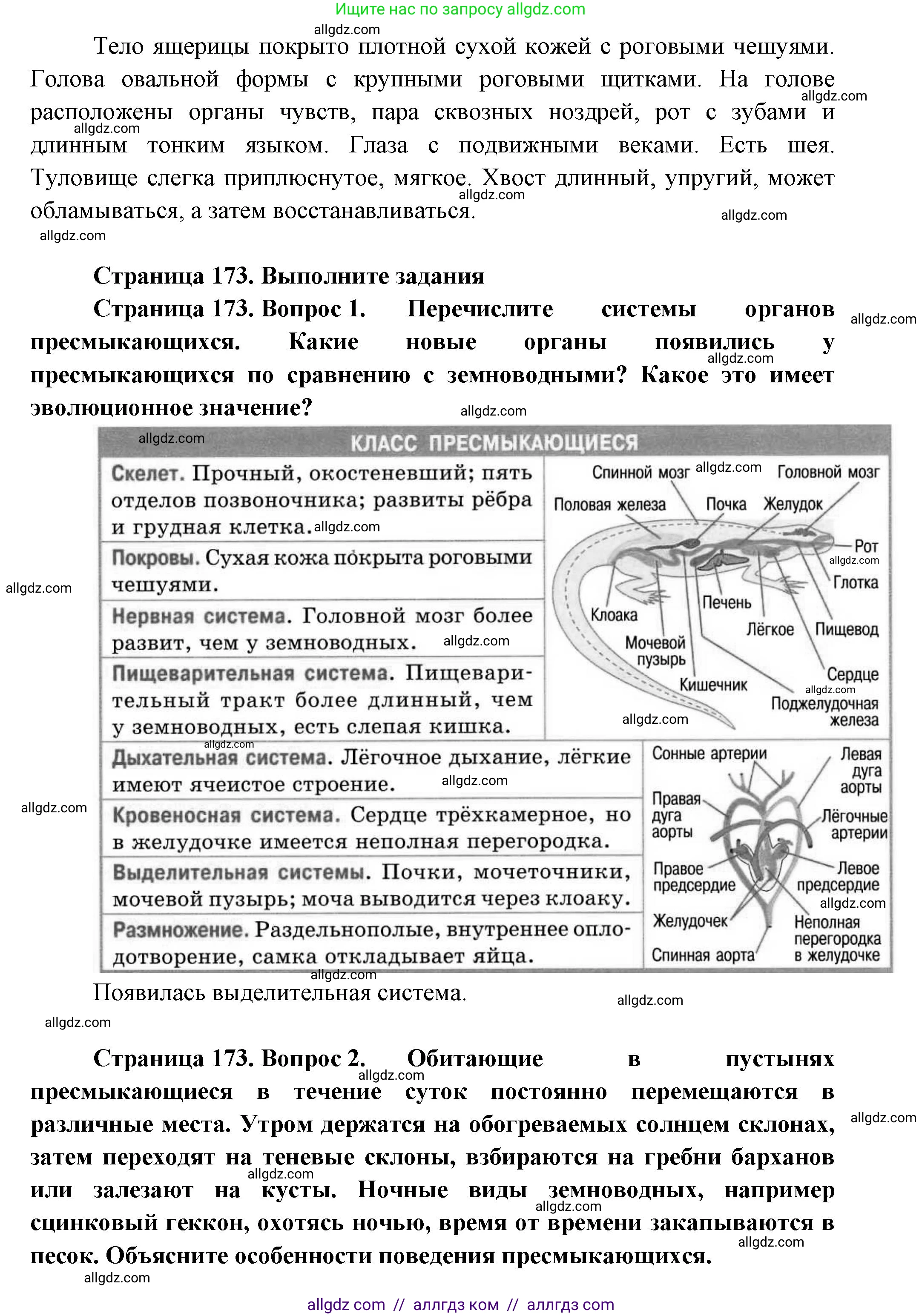 Биология, 8 класс Учебник, авторы: Пасечник Владимир Васильевич, Суматохин Сергей Витальевич, Гапонюк Зоя Георгиевна, издательство Просвещение, Москва, 2023, белого цвета, страница 172, Решение (продолжение 2)