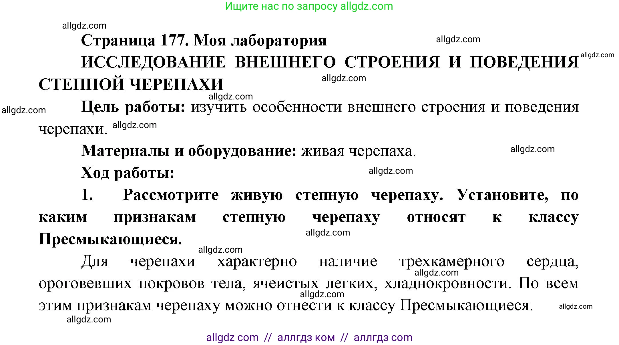 Биология, 8 класс Учебник, авторы: Пасечник Владимир Васильевич, Суматохин Сергей Витальевич, Гапонюк Зоя Георгиевна, издательство Просвещение, Москва, 2023, белого цвета, страница 177, Решение