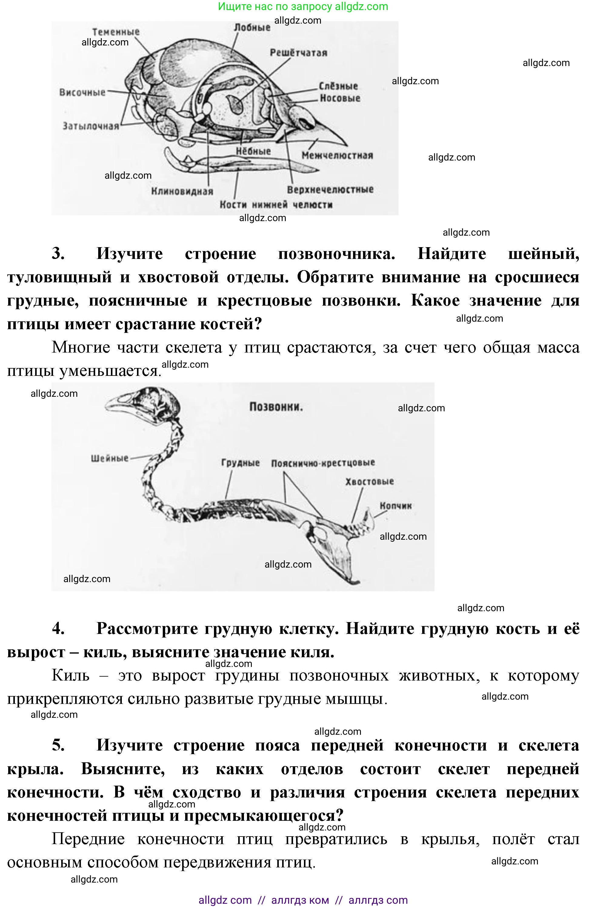 Биология, 8 класс Учебник, авторы: Пасечник Владимир Васильевич, Суматохин Сергей Витальевич, Гапонюк Зоя Георгиевна, издательство Просвещение, Москва, 2023, белого цвета, страница 185, Решение (продолжение 2)