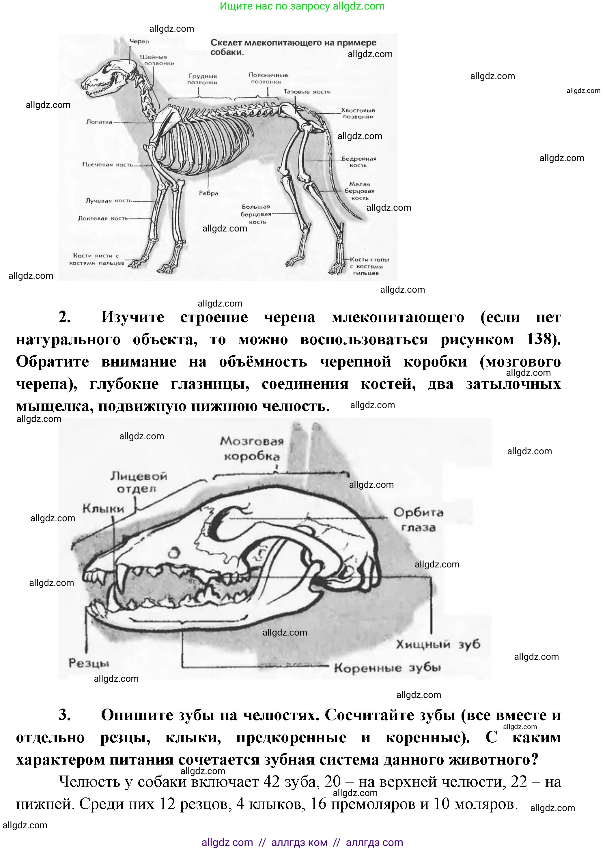 Биология, 8 класс Учебник, авторы: Пасечник Владимир Васильевич, Суматохин Сергей Витальевич, Гапонюк Зоя Георгиевна, издательство Просвещение, Москва, 2023, белого цвета, страница 201, Решение (продолжение 2)