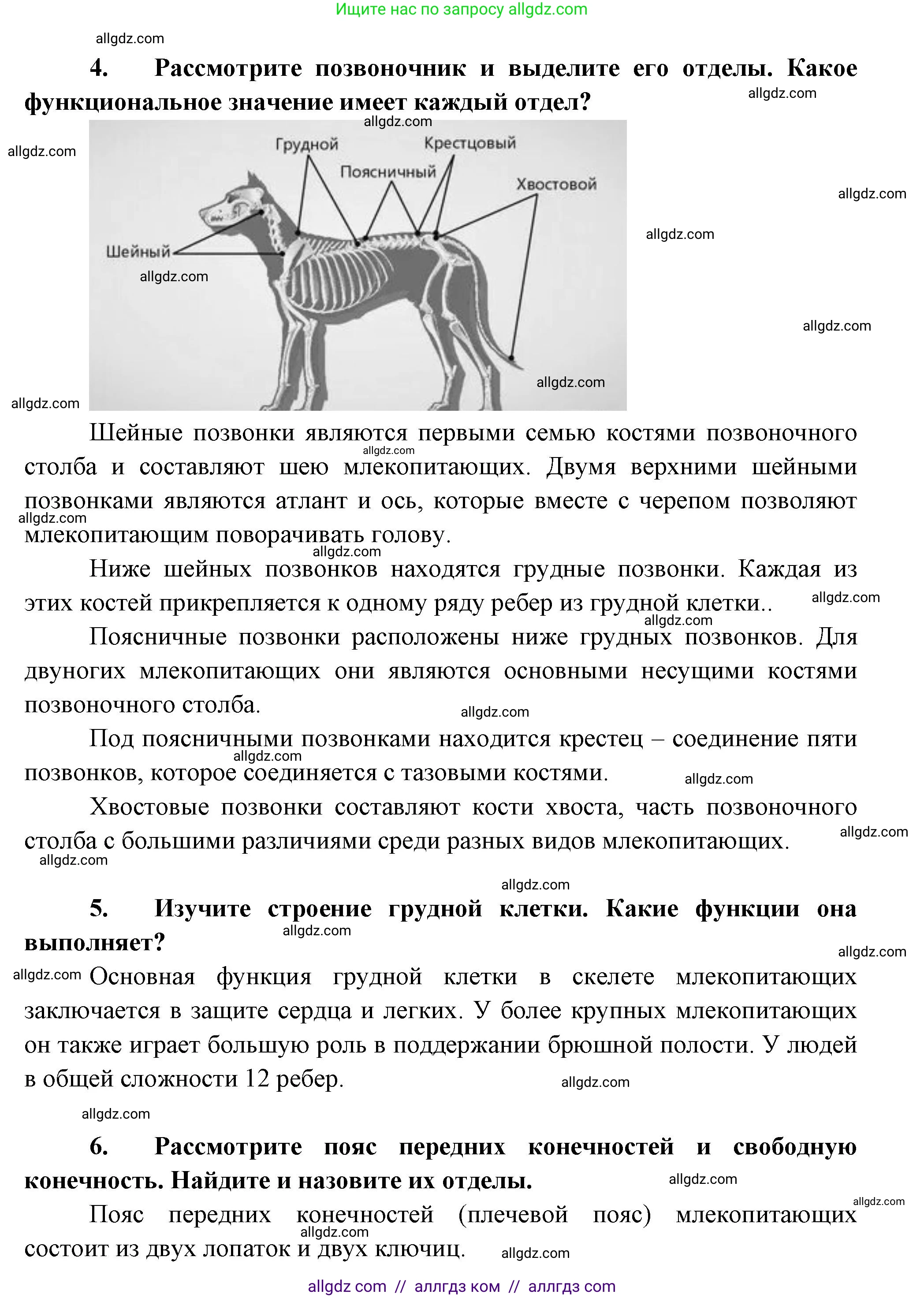 Биология, 8 класс Учебник, авторы: Пасечник Владимир Васильевич, Суматохин Сергей Витальевич, Гапонюк Зоя Георгиевна, издательство Просвещение, Москва, 2023, белого цвета, страница 201, Решение (продолжение 3)
