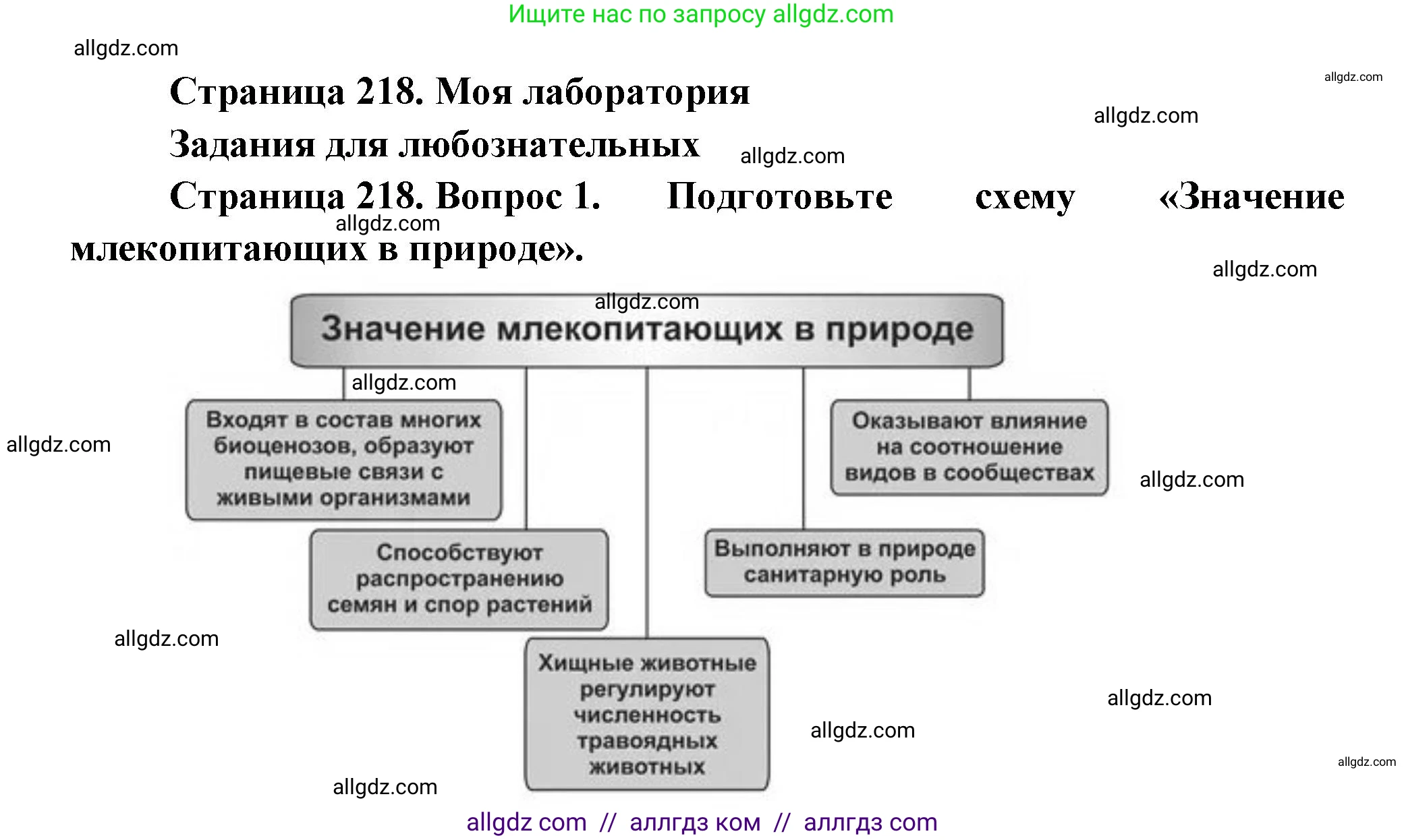 Биология, 8 класс Учебник, авторы: Пасечник Владимир Васильевич, Суматохин Сергей Витальевич, Гапонюк Зоя Георгиевна, издательство Просвещение, Москва, 2023, белого цвета, страница 218, Решение