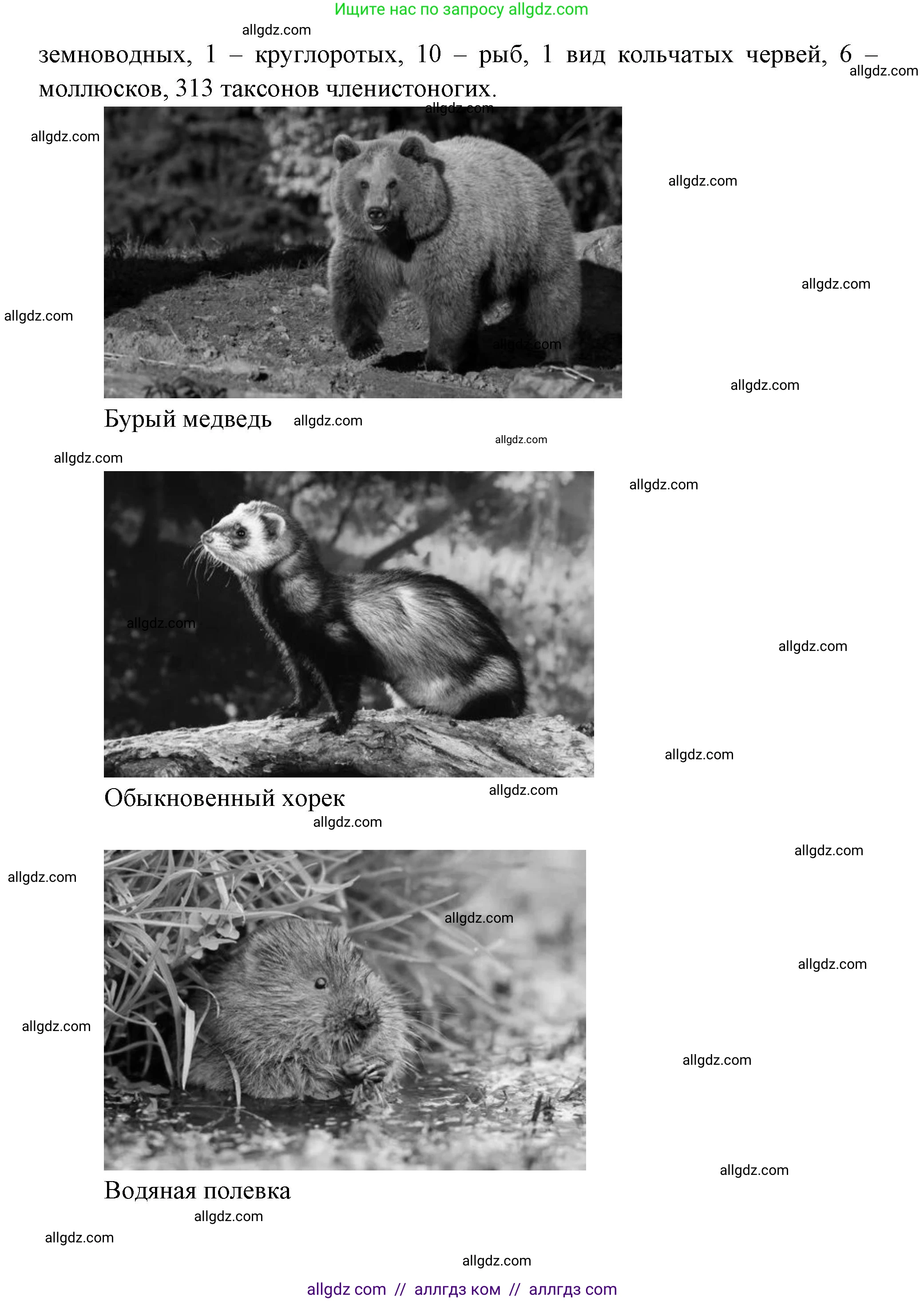 Биология, 8 класс Учебник, авторы: Пасечник Владимир Васильевич, Суматохин Сергей Витальевич, Гапонюк Зоя Георгиевна, издательство Просвещение, Москва, 2023, белого цвета, страница 218, Решение (продолжение 4)