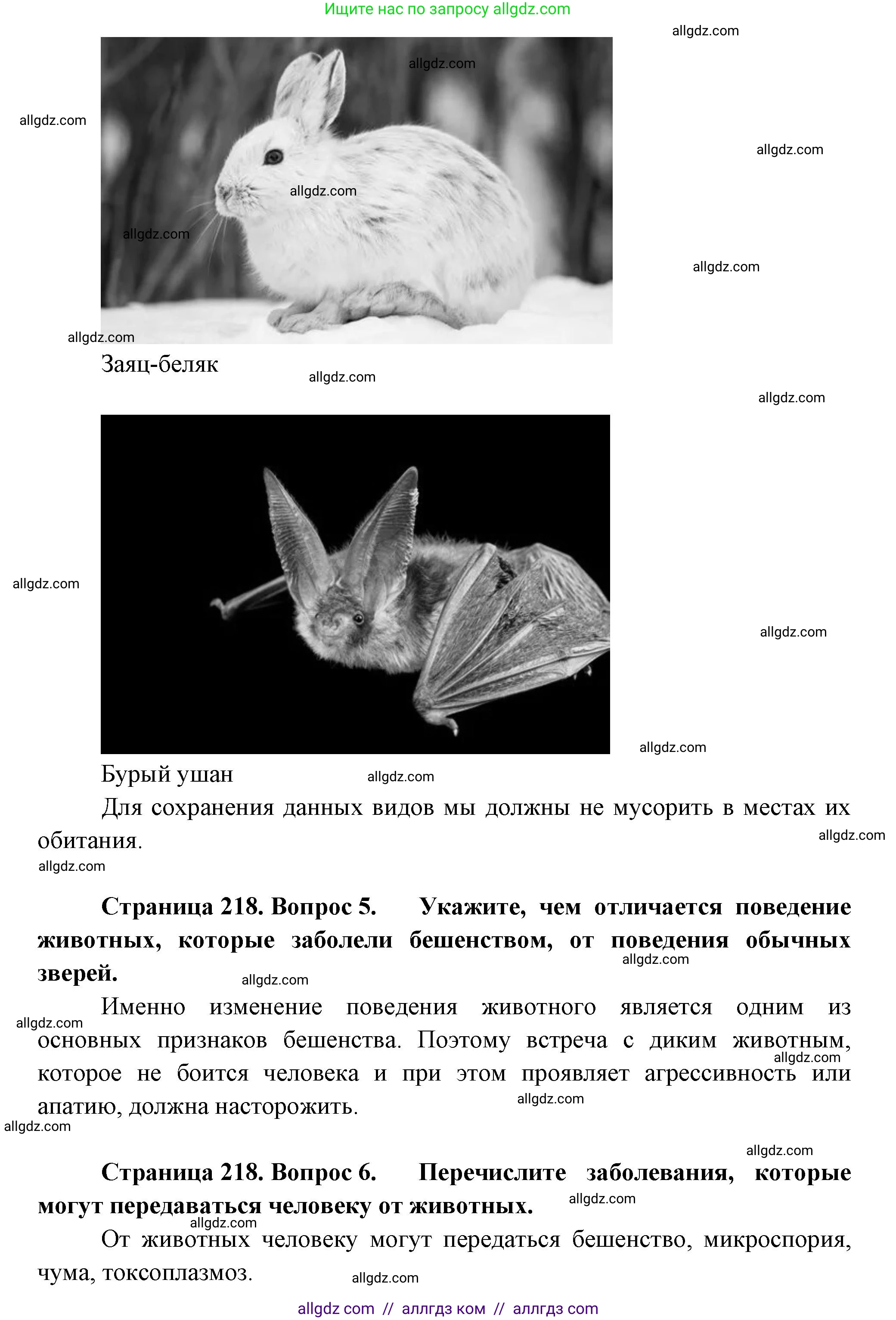 Биология, 8 класс Учебник, авторы: Пасечник Владимир Васильевич, Суматохин Сергей Витальевич, Гапонюк Зоя Георгиевна, издательство Просвещение, Москва, 2023, белого цвета, страница 218, Решение (продолжение 5)