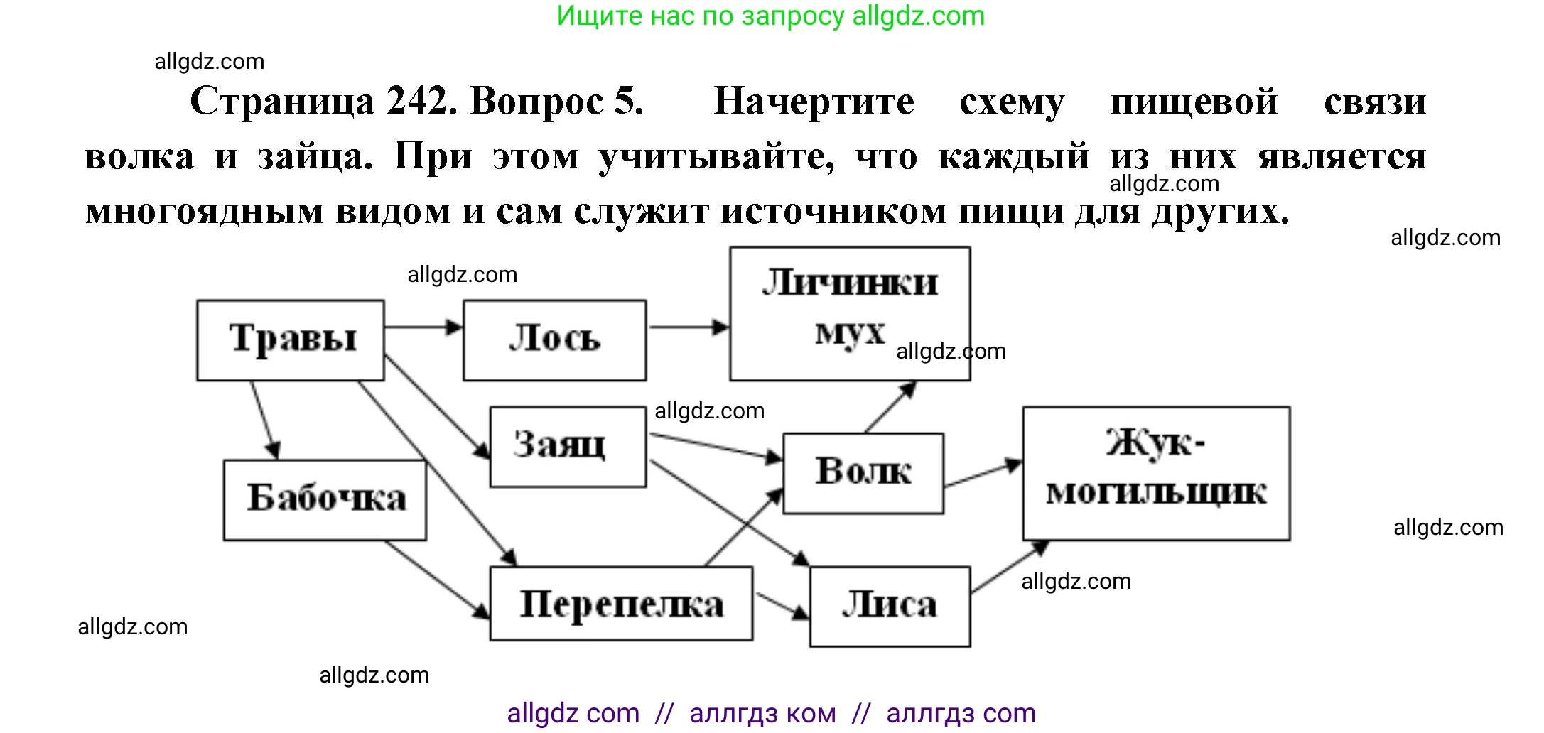 Биология, 8 класс Учебник, авторы: Пасечник Владимир Васильевич, Суматохин Сергей Витальевич, Гапонюк Зоя Георгиевна, издательство Просвещение, Москва, 2023, белого цвета, страница 242, номер 5, Решение