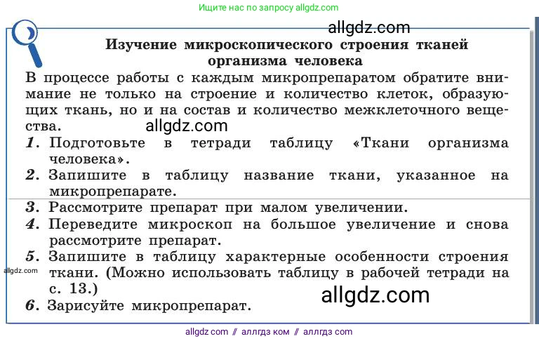 Биология, 8 класс Учебник, авторы: Пасечник Владимир Васильевич, Каменский Андрей Александрович, Швецов Глеб Геннадьевич, издательство Просвещение, Москва, 2019, страница 23, Условие