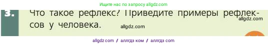 Биология, 8 класс Учебник, авторы: Пасечник Владимир Васильевич, Каменский Андрей Александрович, Швецов Глеб Геннадьевич, издательство Просвещение, Москва, 2019, страница 29, номер 3, Условие