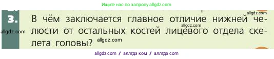 Биология, 8 класс Учебник, авторы: Пасечник Владимир Васильевич, Каменский Андрей Александрович, Швецов Глеб Геннадьевич, издательство Просвещение, Москва, 2019, страница 39, номер 3, Условие
