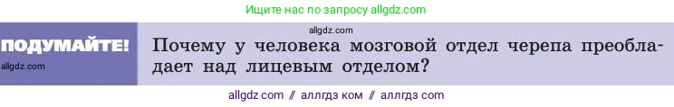 Биология, 8 класс Учебник, авторы: Пасечник Владимир Васильевич, Каменский Андрей Александрович, Швецов Глеб Геннадьевич, издательство Просвещение, Москва, 2019, страница 39, Условие