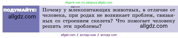 Биология, 8 класс Учебник, авторы: Пасечник Владимир Васильевич, Каменский Андрей Александрович, Швецов Глеб Геннадьевич, издательство Просвещение, Москва, 2019, страница 43, Условие