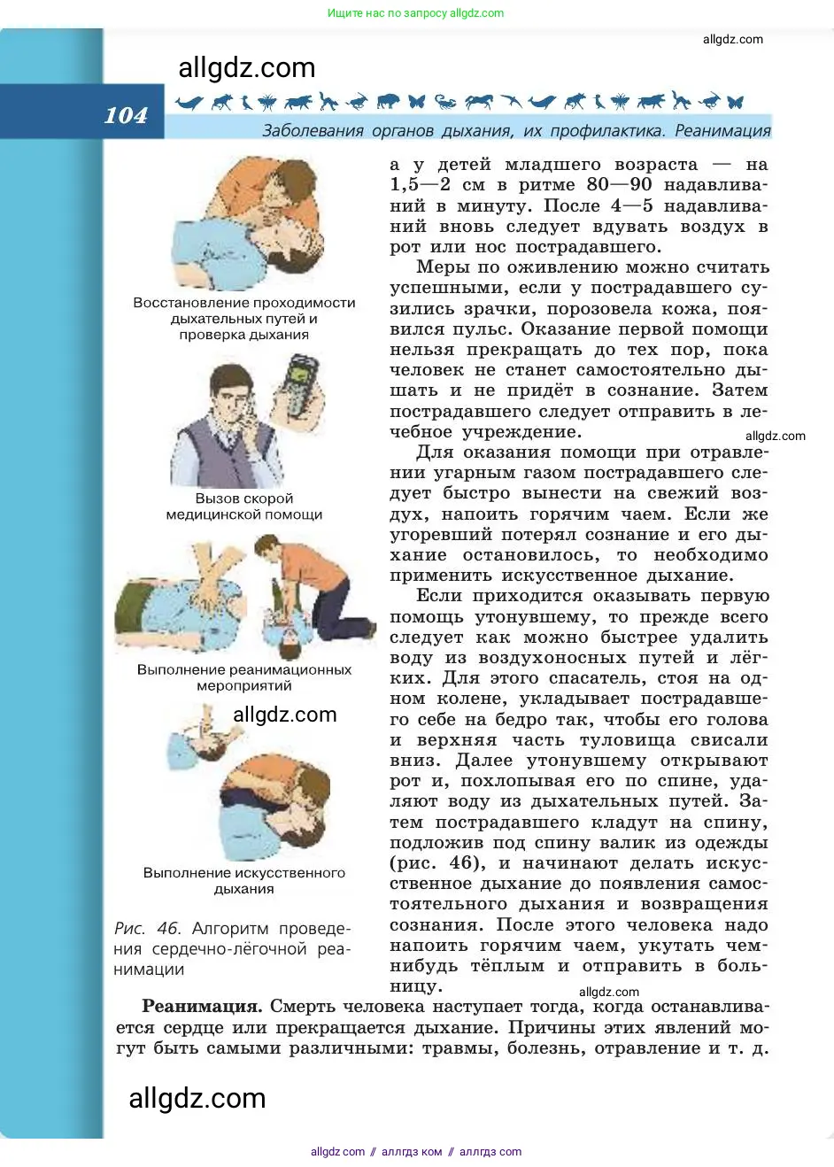 Биология, 8 класс Учебник, авторы: Пасечник Владимир Васильевич, Каменский Андрей Александрович, Швецов Глеб Геннадьевич, издательство Просвещение, Москва, 2019, страница 104