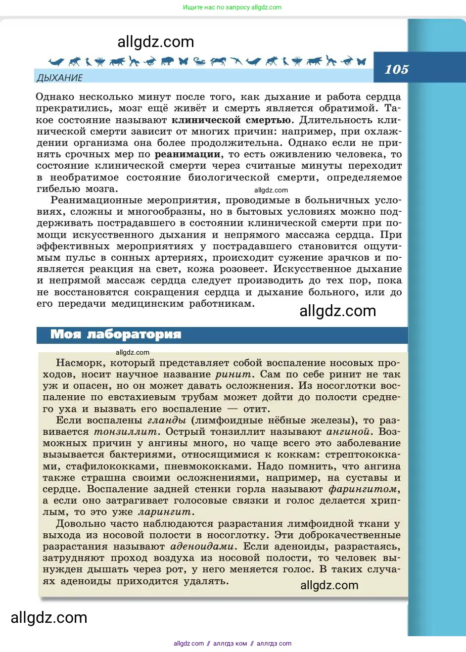 Биология, 8 класс Учебник, авторы: Пасечник Владимир Васильевич, Каменский Андрей Александрович, Швецов Глеб Геннадьевич, издательство Просвещение, Москва, 2019, страница 105