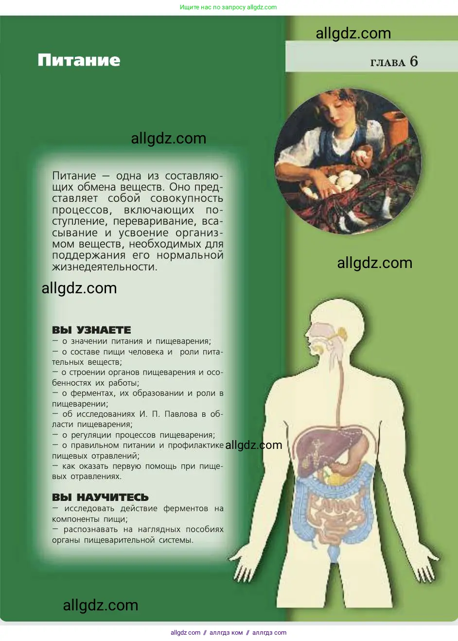 Биология, 8 класс Учебник, авторы: Пасечник Владимир Васильевич, Каменский Андрей Александрович, Швецов Глеб Геннадьевич, издательство Просвещение, Москва, 2019, страница 109