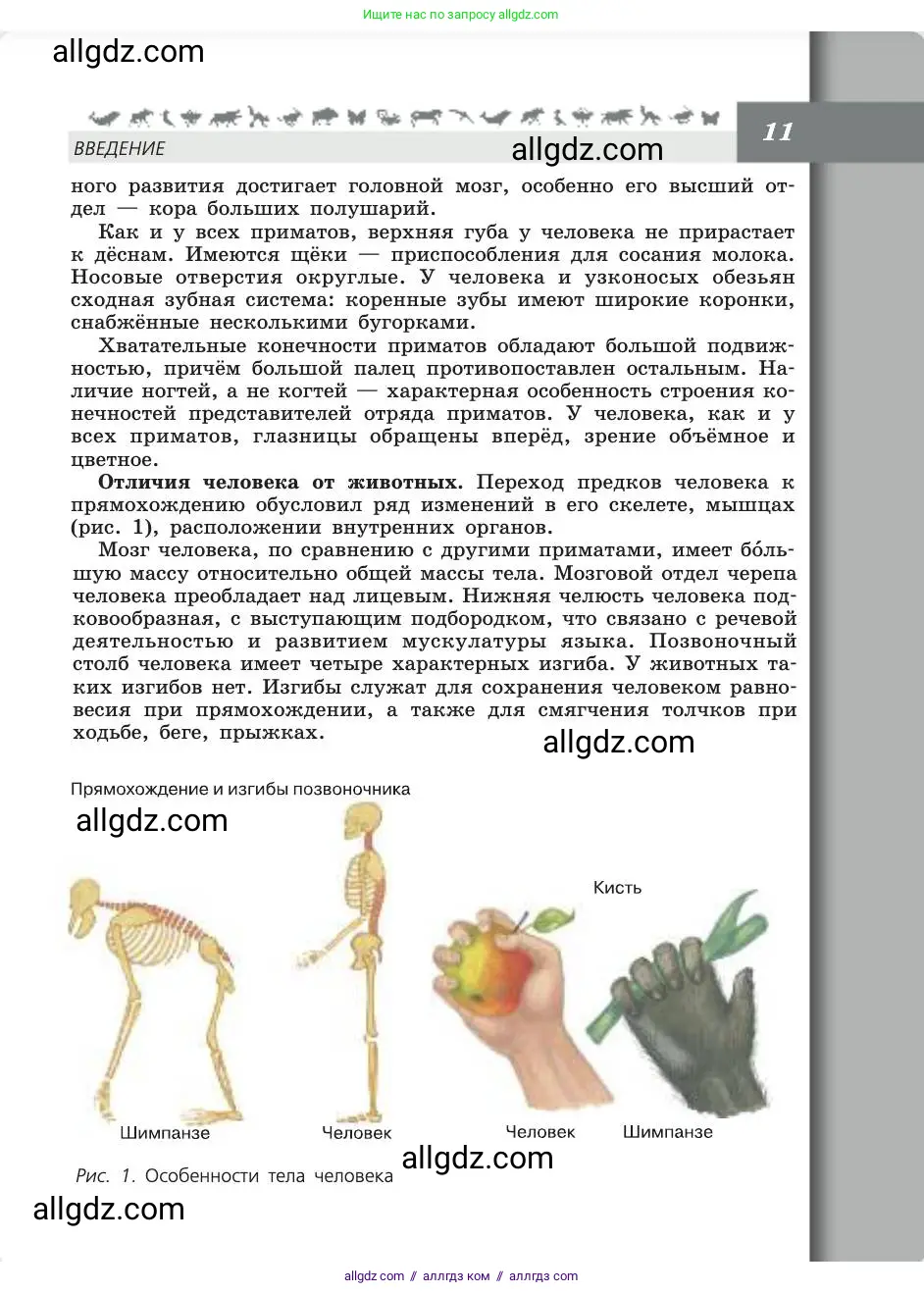 Биология, 8 класс Учебник, авторы: Пасечник Владимир Васильевич, Каменский Андрей Александрович, Швецов Глеб Геннадьевич, издательство Просвещение, Москва, 2019, страница 11
