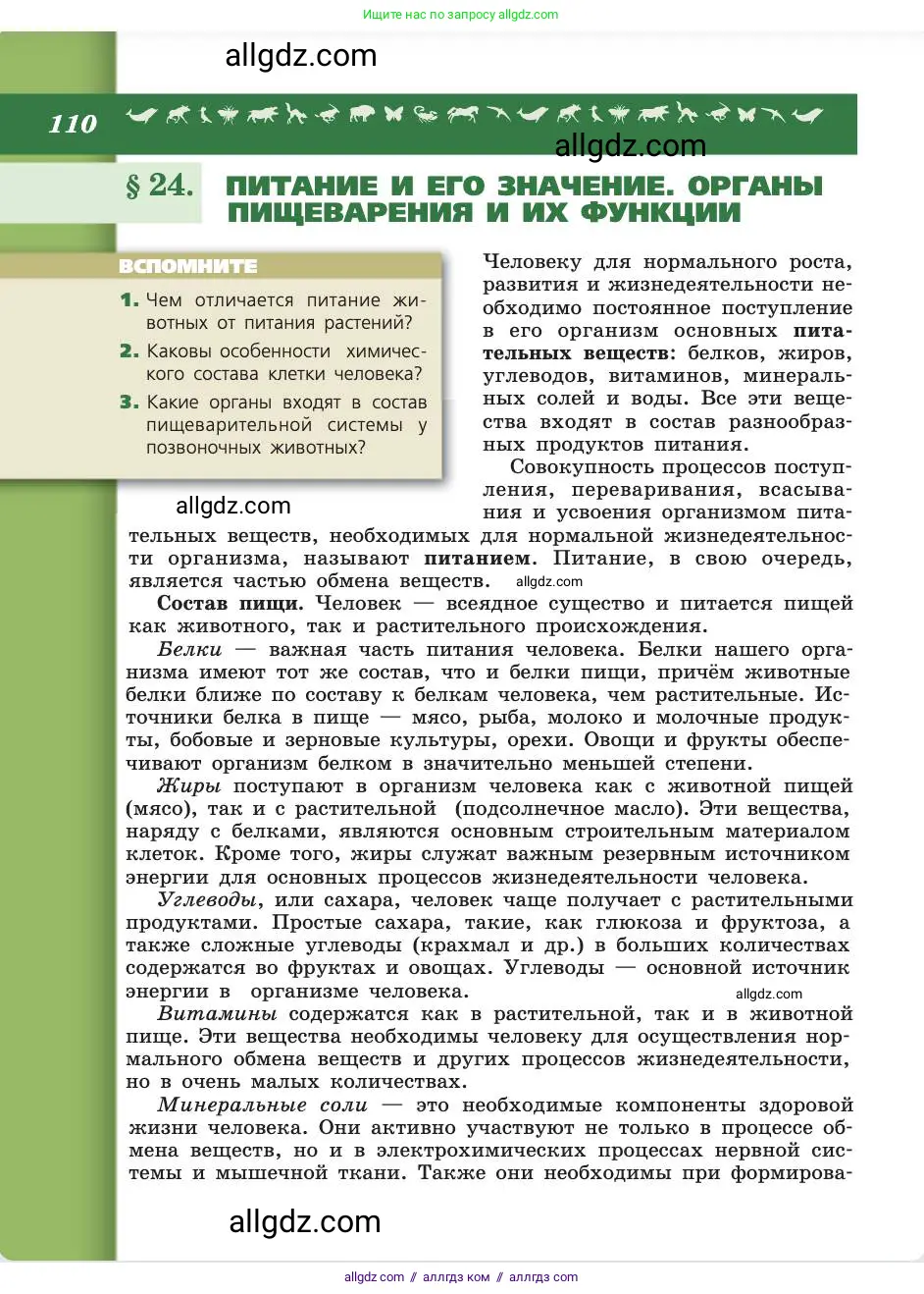 Биология, 8 класс Учебник, авторы: Пасечник Владимир Васильевич, Каменский Андрей Александрович, Швецов Глеб Геннадьевич, издательство Просвещение, Москва, 2019, страница 110