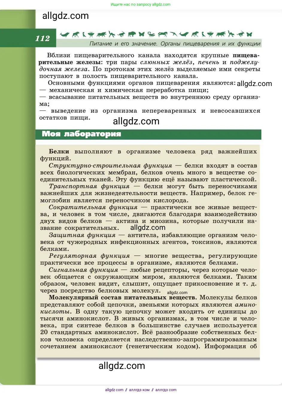 Биология, 8 класс Учебник, авторы: Пасечник Владимир Васильевич, Каменский Андрей Александрович, Швецов Глеб Геннадьевич, издательство Просвещение, Москва, 2019, страница 112