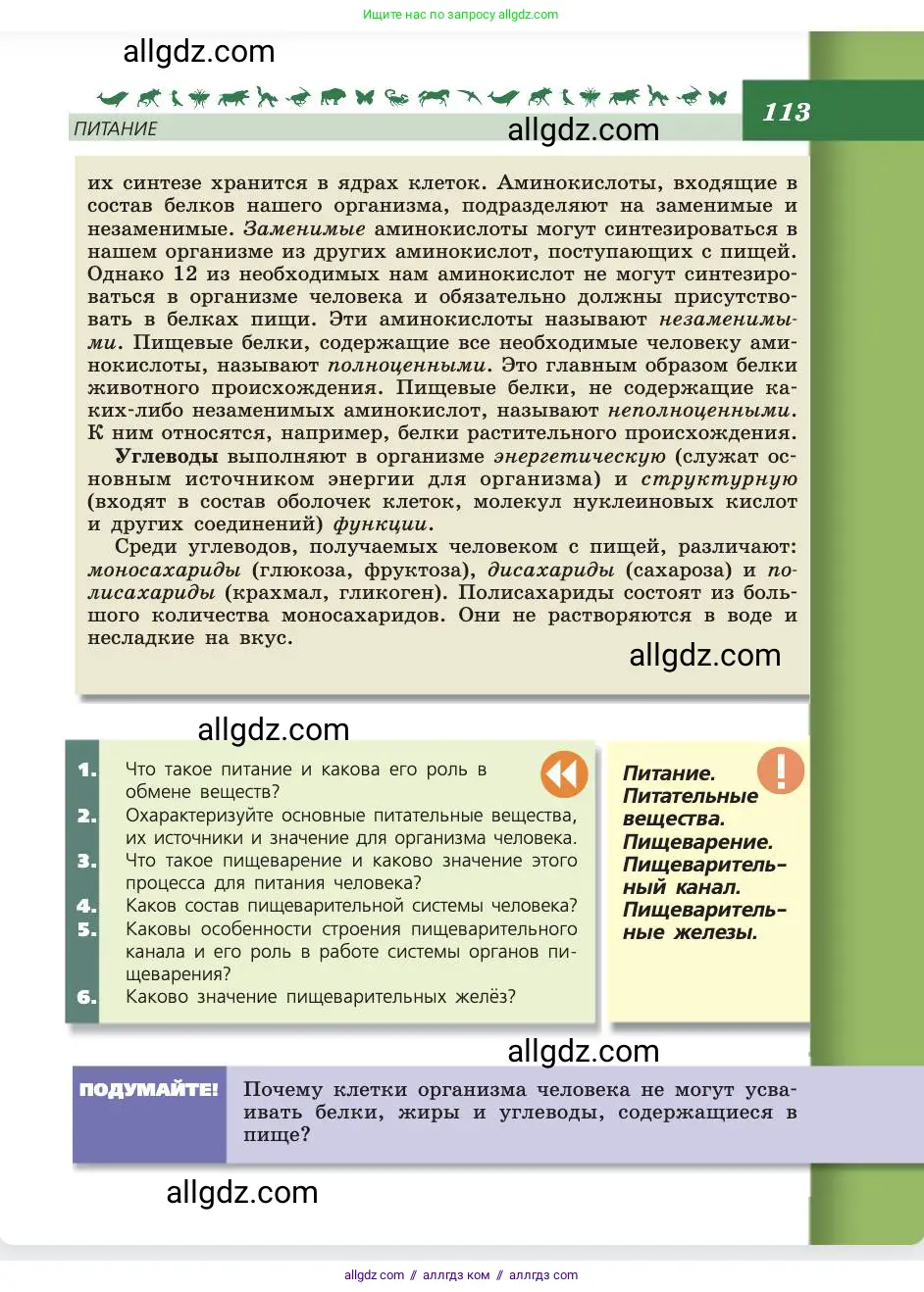 Биология, 8 класс Учебник, авторы: Пасечник Владимир Васильевич, Каменский Андрей Александрович, Швецов Глеб Геннадьевич, издательство Просвещение, Москва, 2019, страница 113