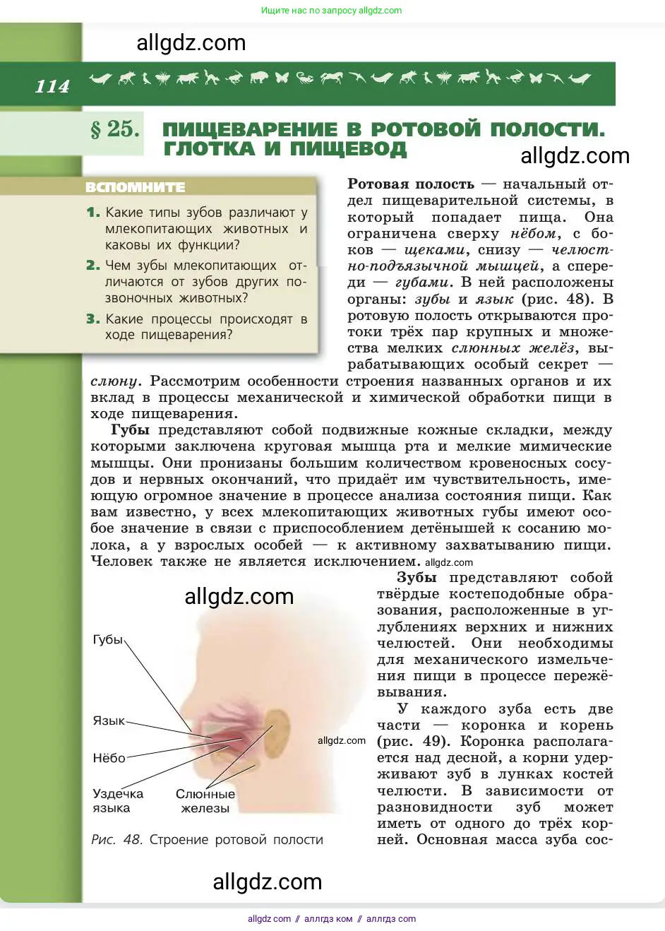 Биология, 8 класс Учебник, авторы: Пасечник Владимир Васильевич, Каменский Андрей Александрович, Швецов Глеб Геннадьевич, издательство Просвещение, Москва, 2019, страница 114