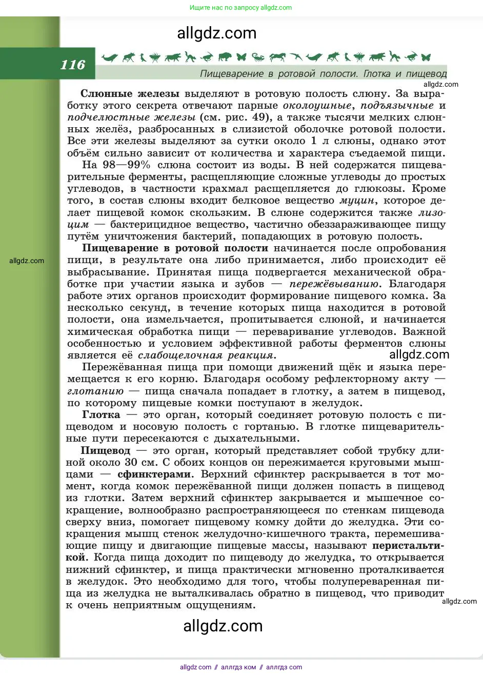 Биология, 8 класс Учебник, авторы: Пасечник Владимир Васильевич, Каменский Андрей Александрович, Швецов Глеб Геннадьевич, издательство Просвещение, Москва, 2019, страница 116