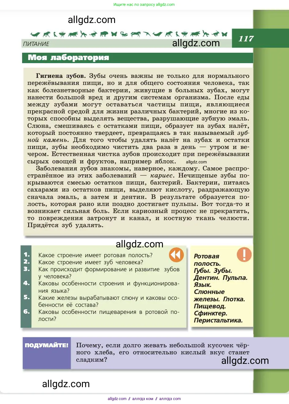 Биология, 8 класс Учебник, авторы: Пасечник Владимир Васильевич, Каменский Андрей Александрович, Швецов Глеб Геннадьевич, издательство Просвещение, Москва, 2019, страница 117